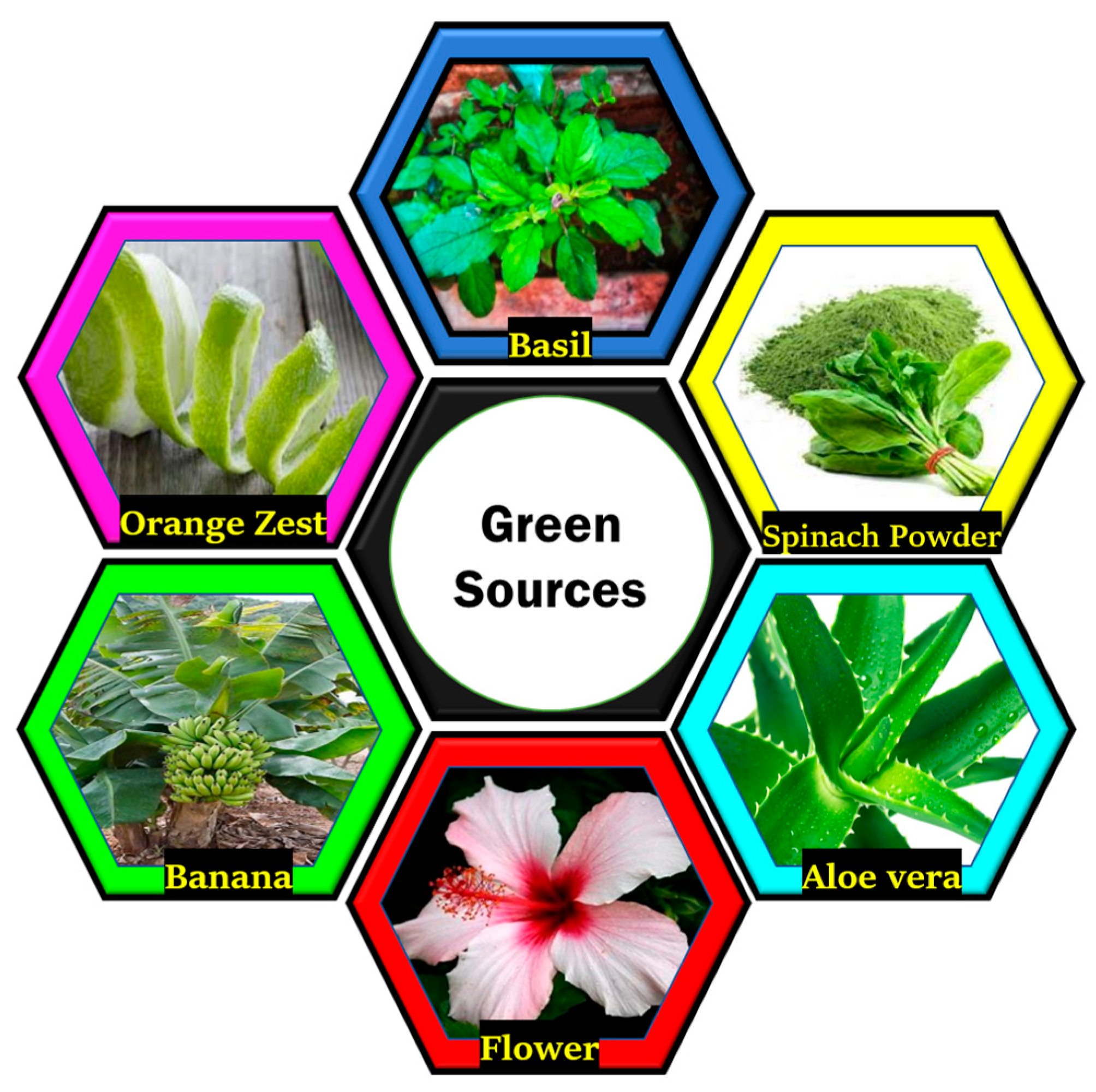 Applsci 13 10107 g005