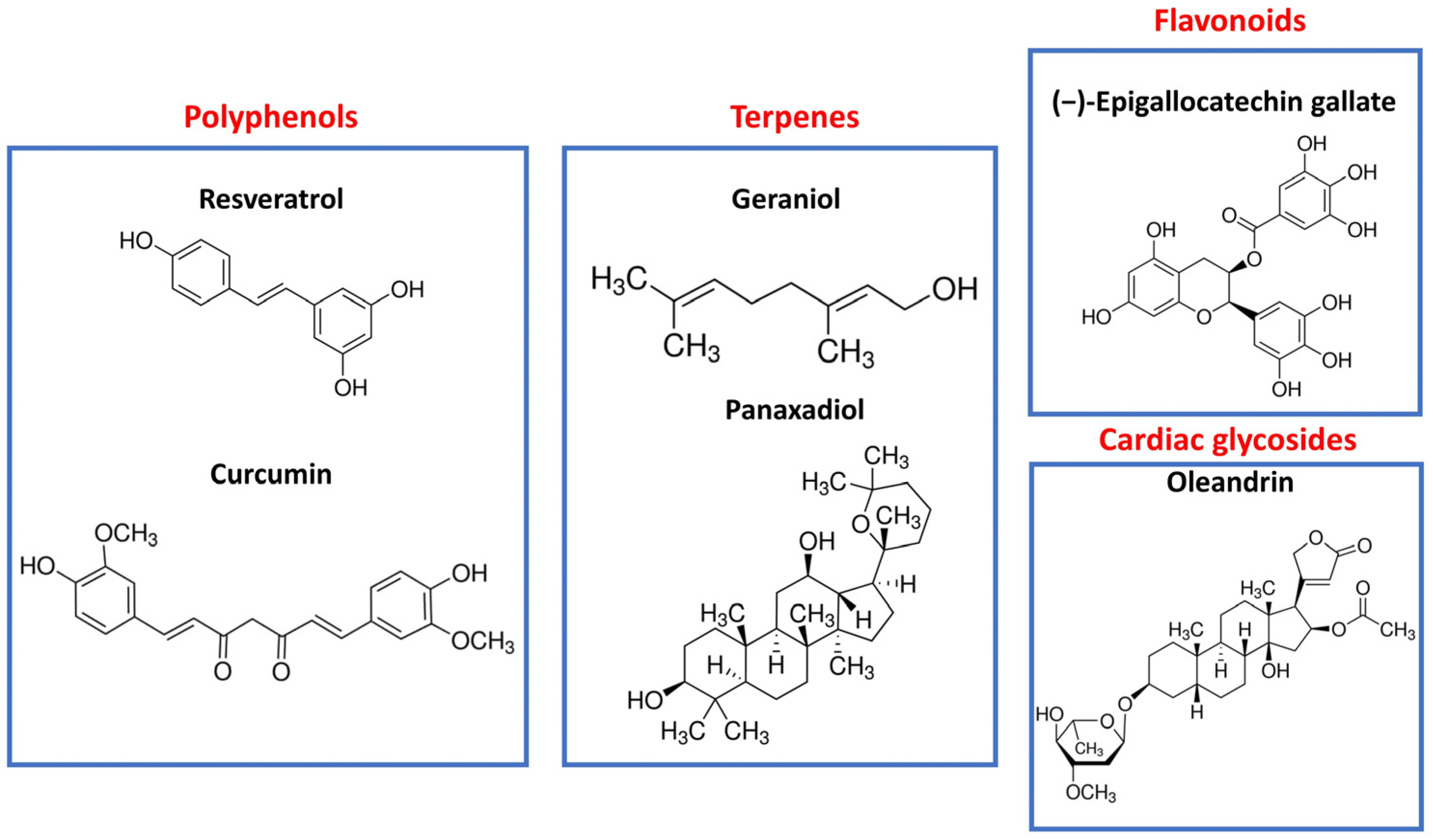 Applsci 13 10156 g001