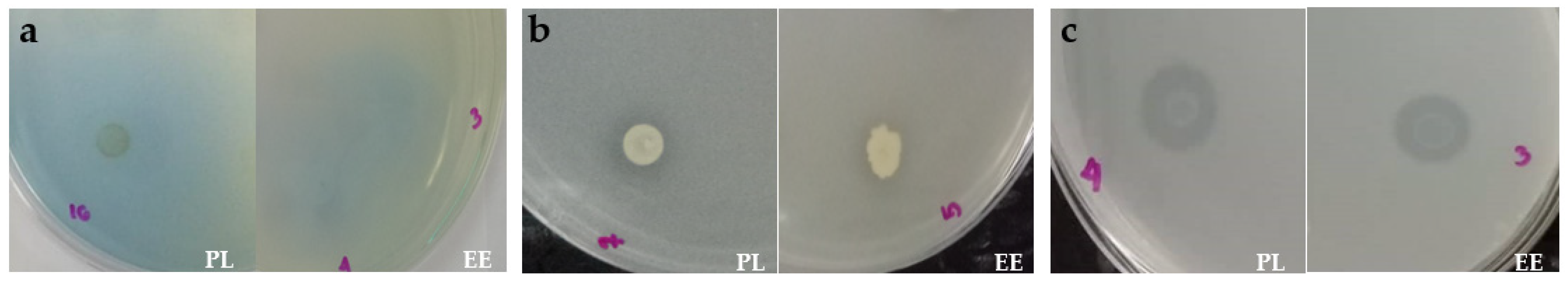 Applsci 13 10364 g009