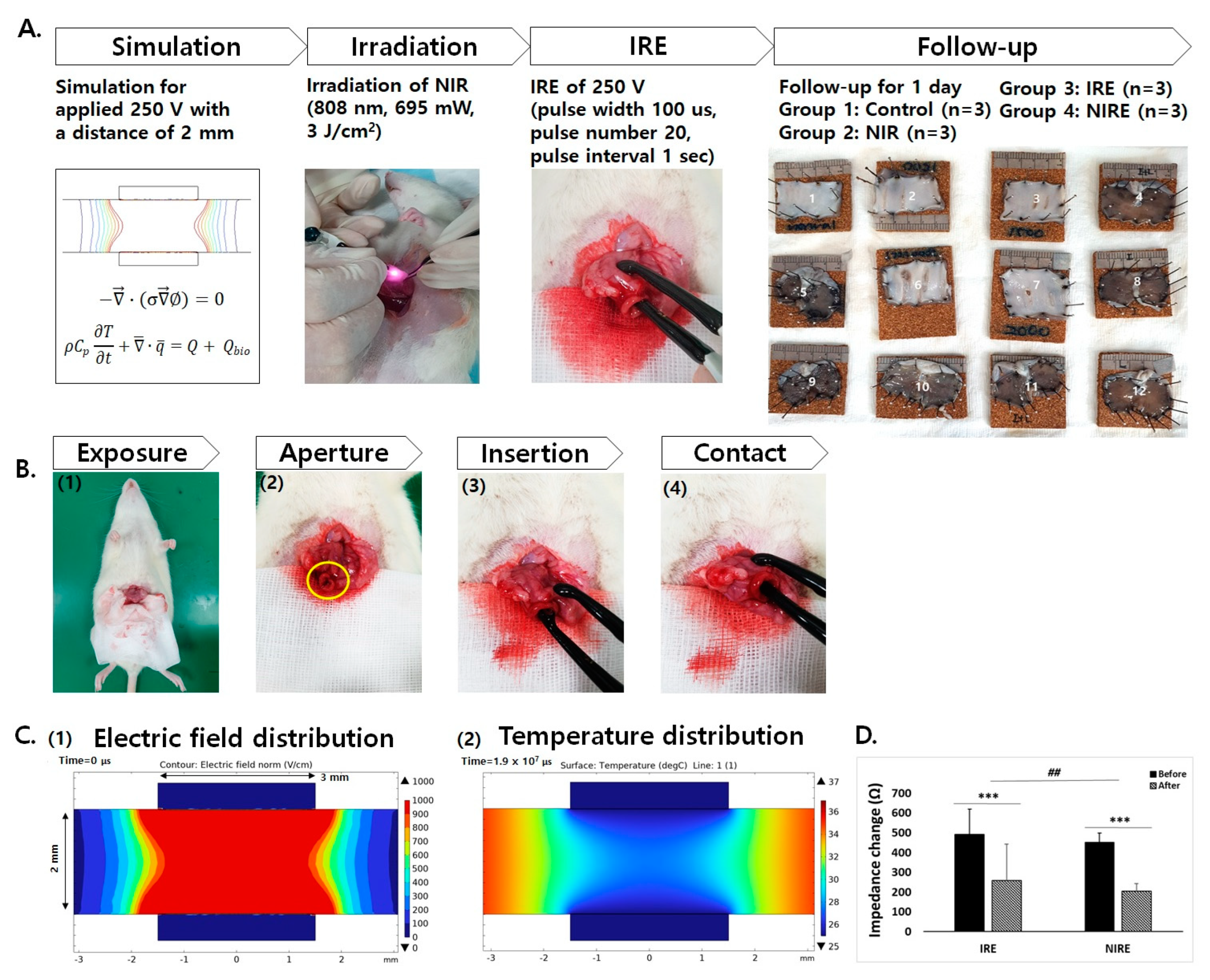 Applsci 13 10404 g001