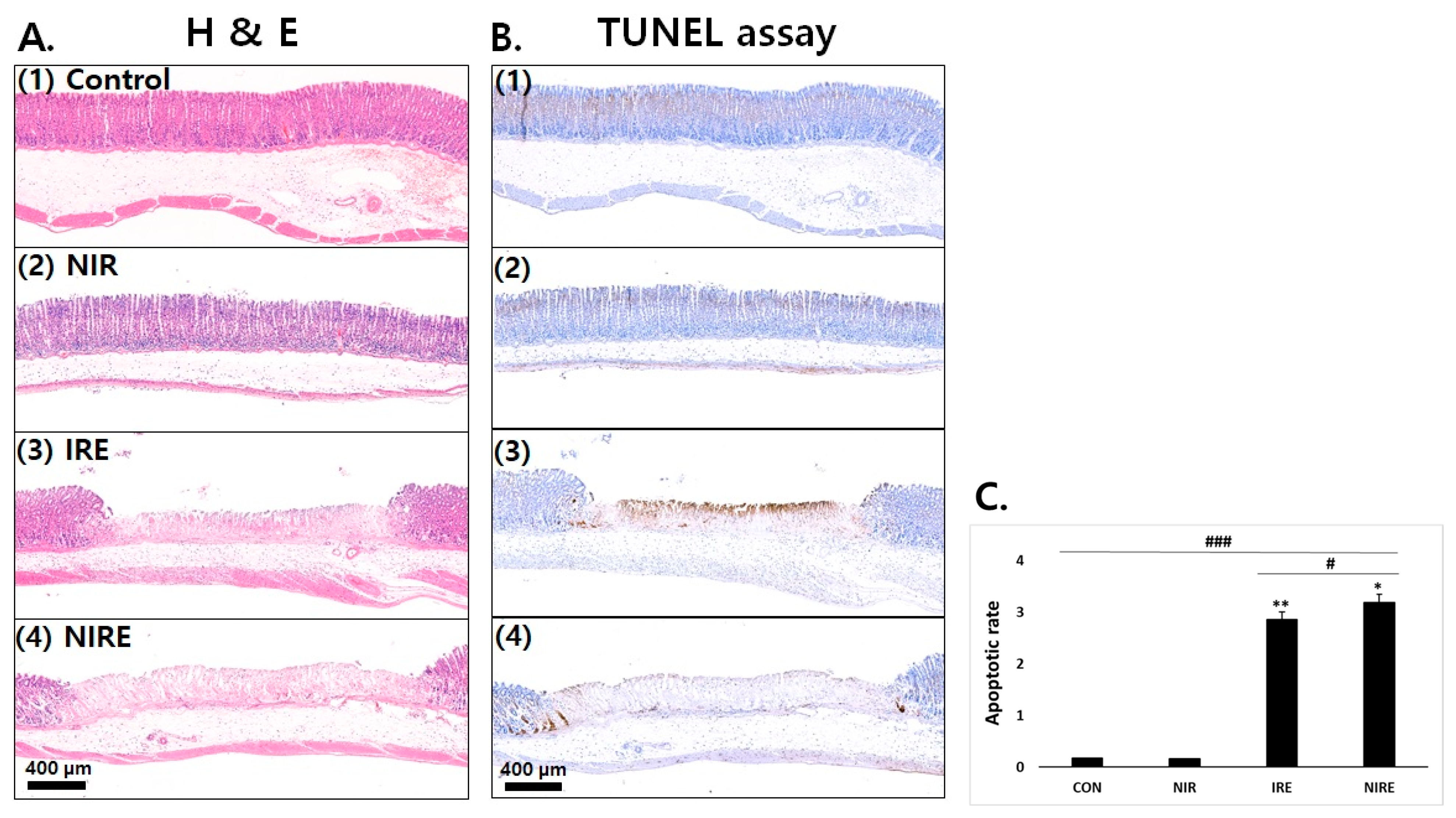 Applsci 13 10404 g002