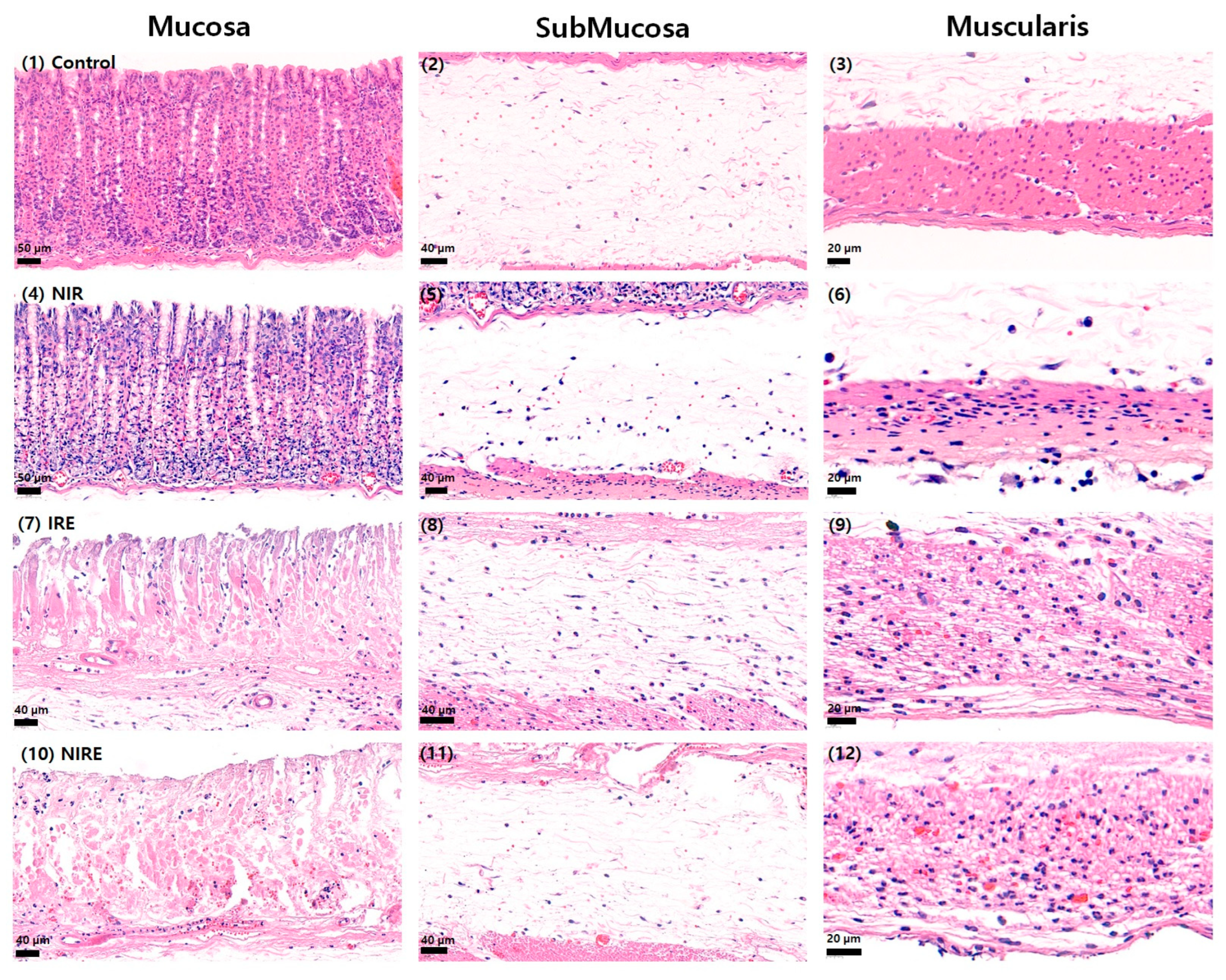 Applsci 13 10404 g003