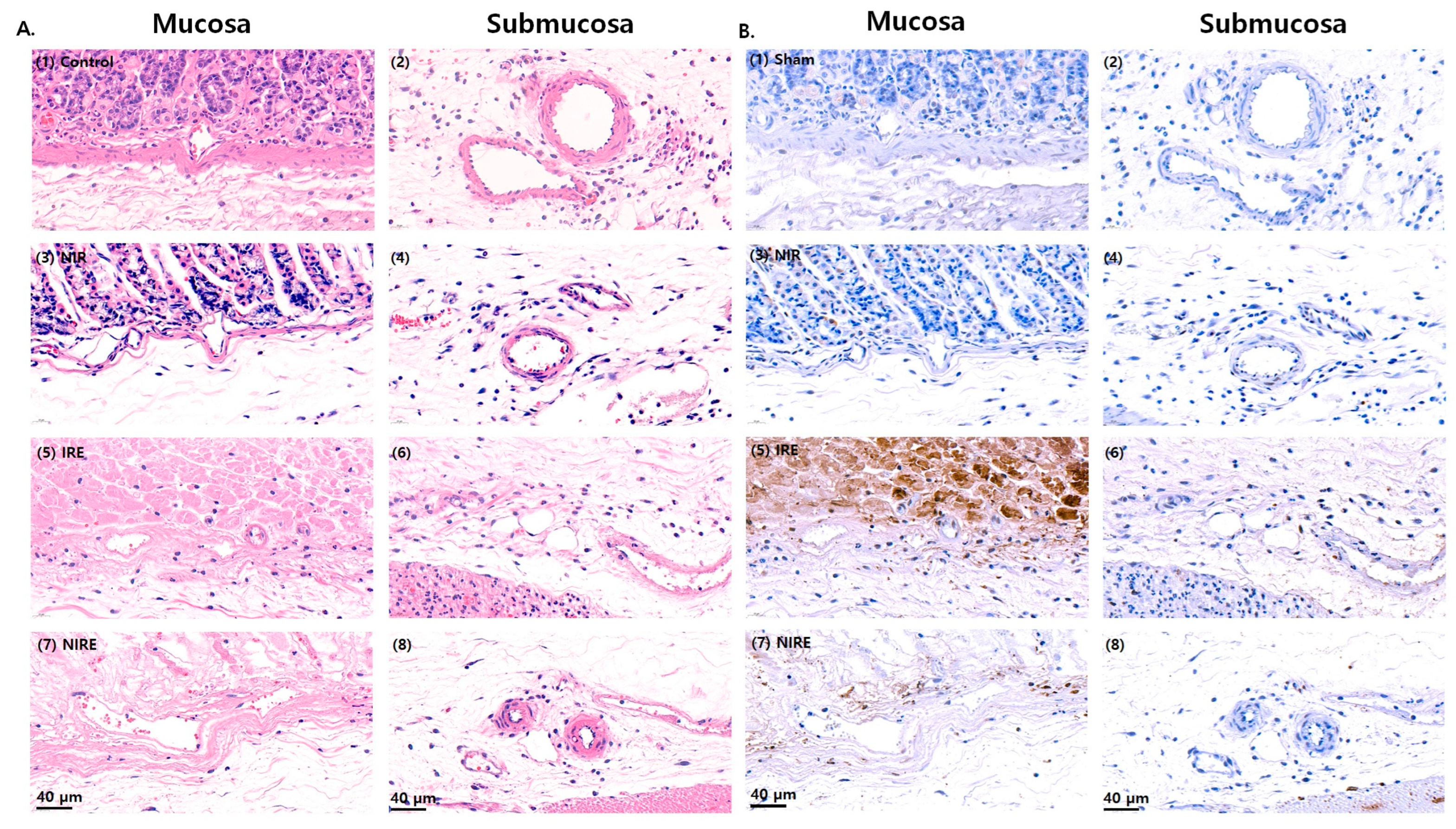 Applsci 13 10404 g004