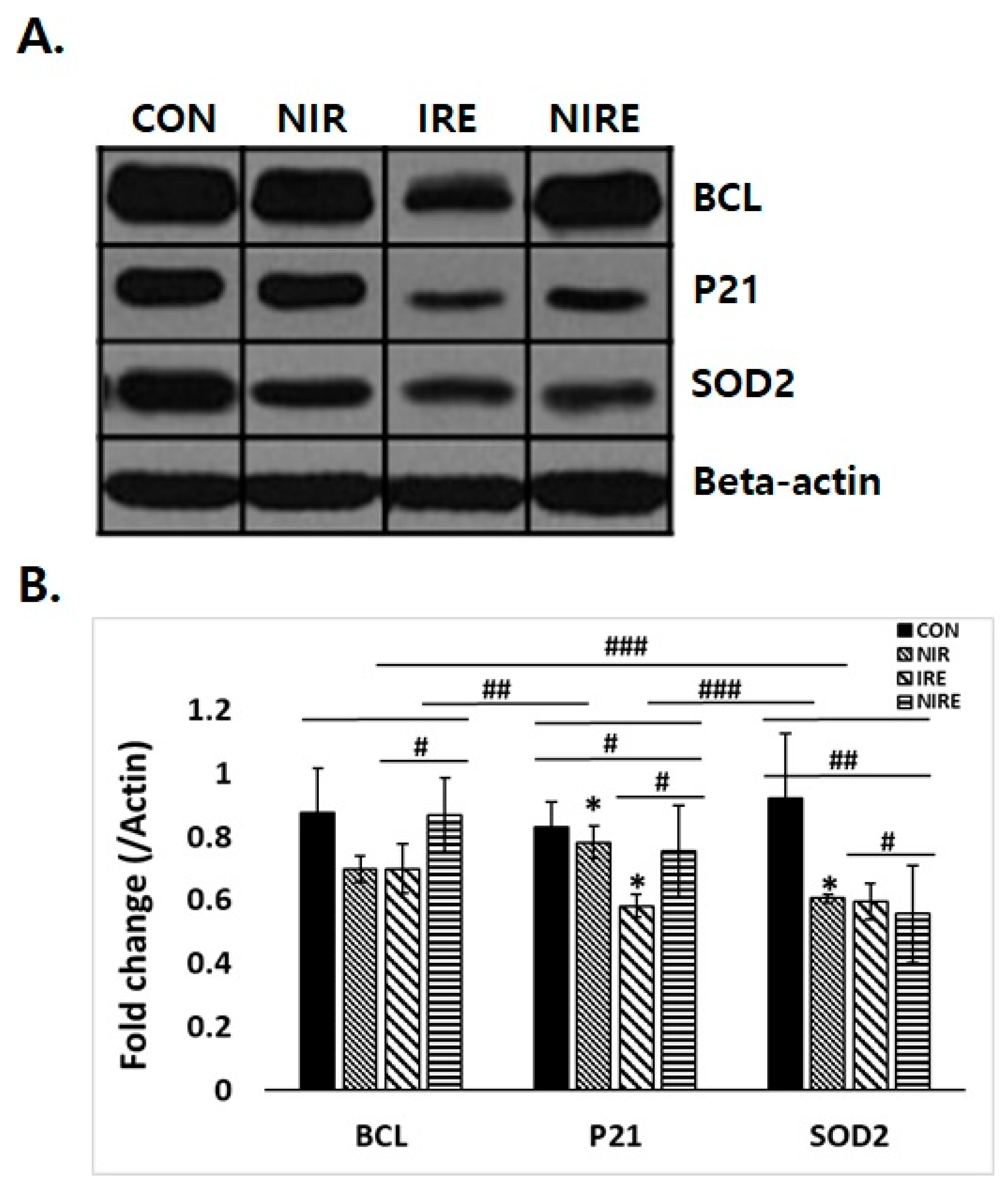 Applsci 13 10404 g005