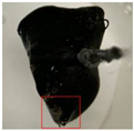 Applsci 13 10410 i005