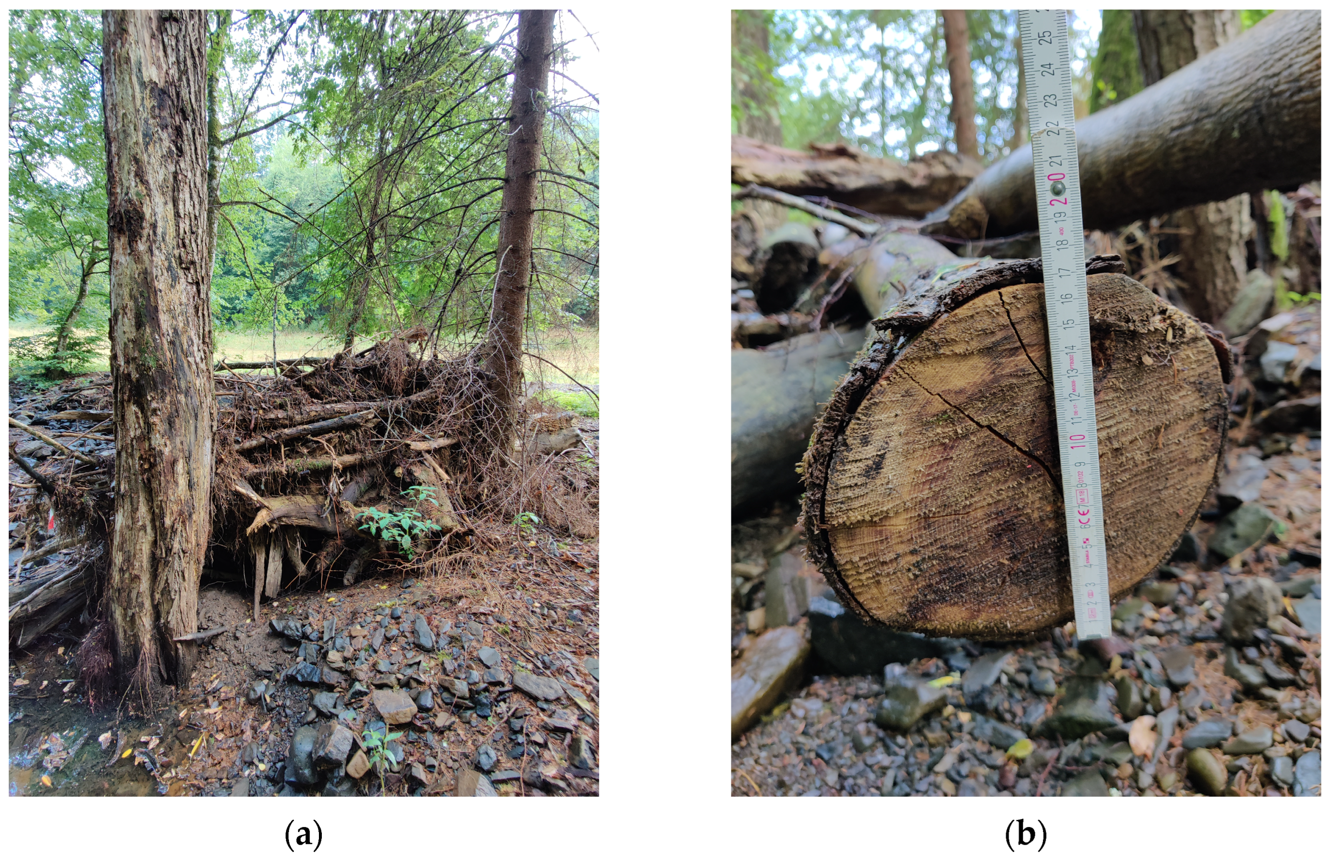 Applsci 13 10454 g003