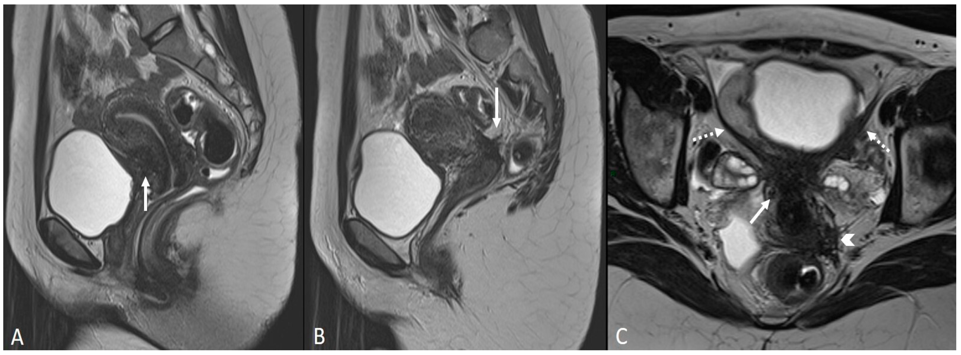Applsci 13 10509 g002 Applsci 13 10509 g002