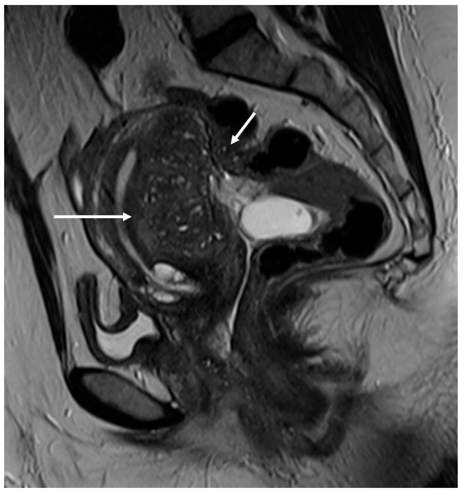 Applsci 13 10509 g005 Applsci 13 10509 g005