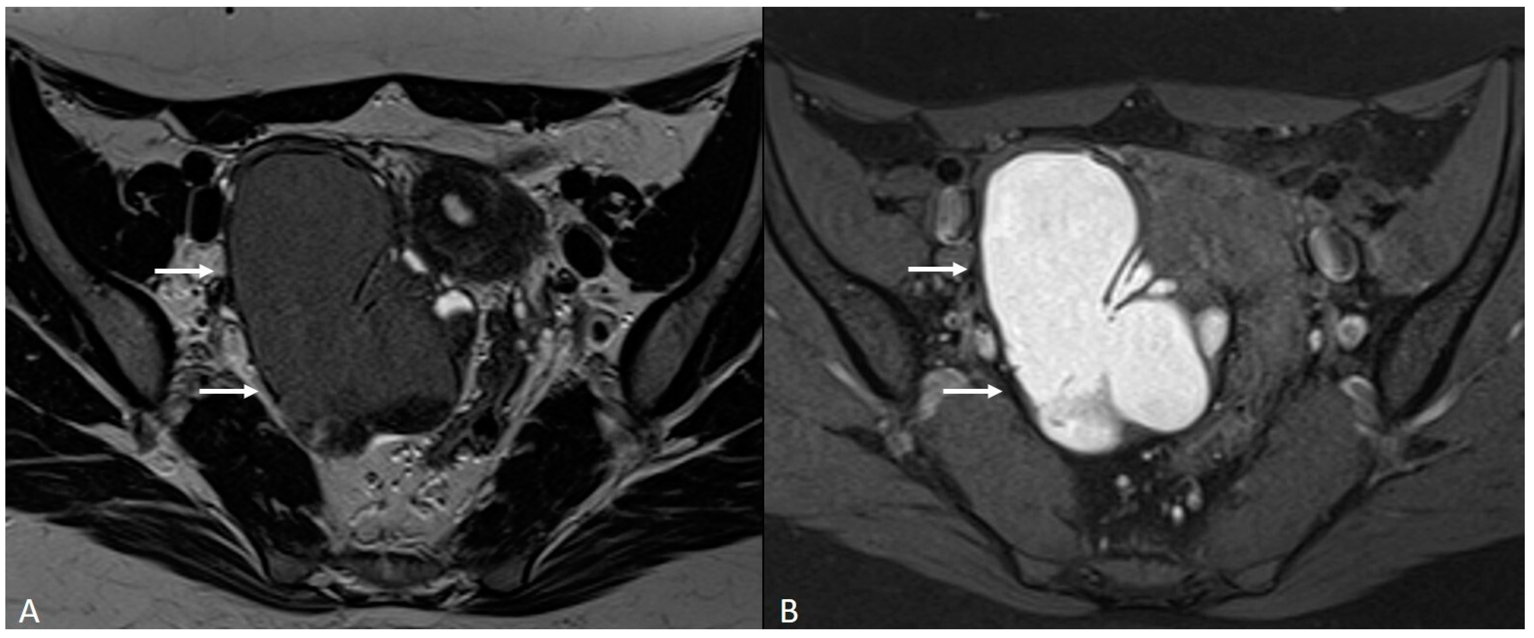 Applsci 13 10509 g008 Applsci 13 10509 g008