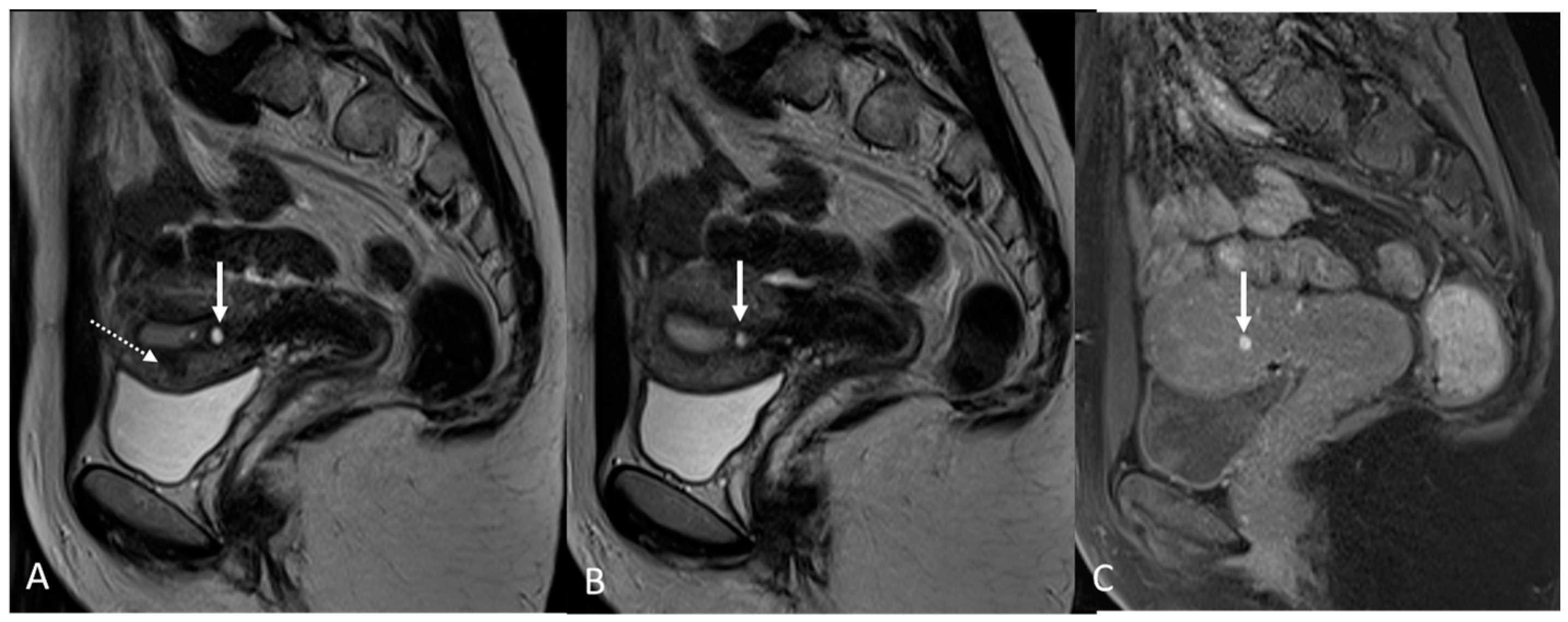 Applsci 13 10509 g010 Applsci 13 10509 g010