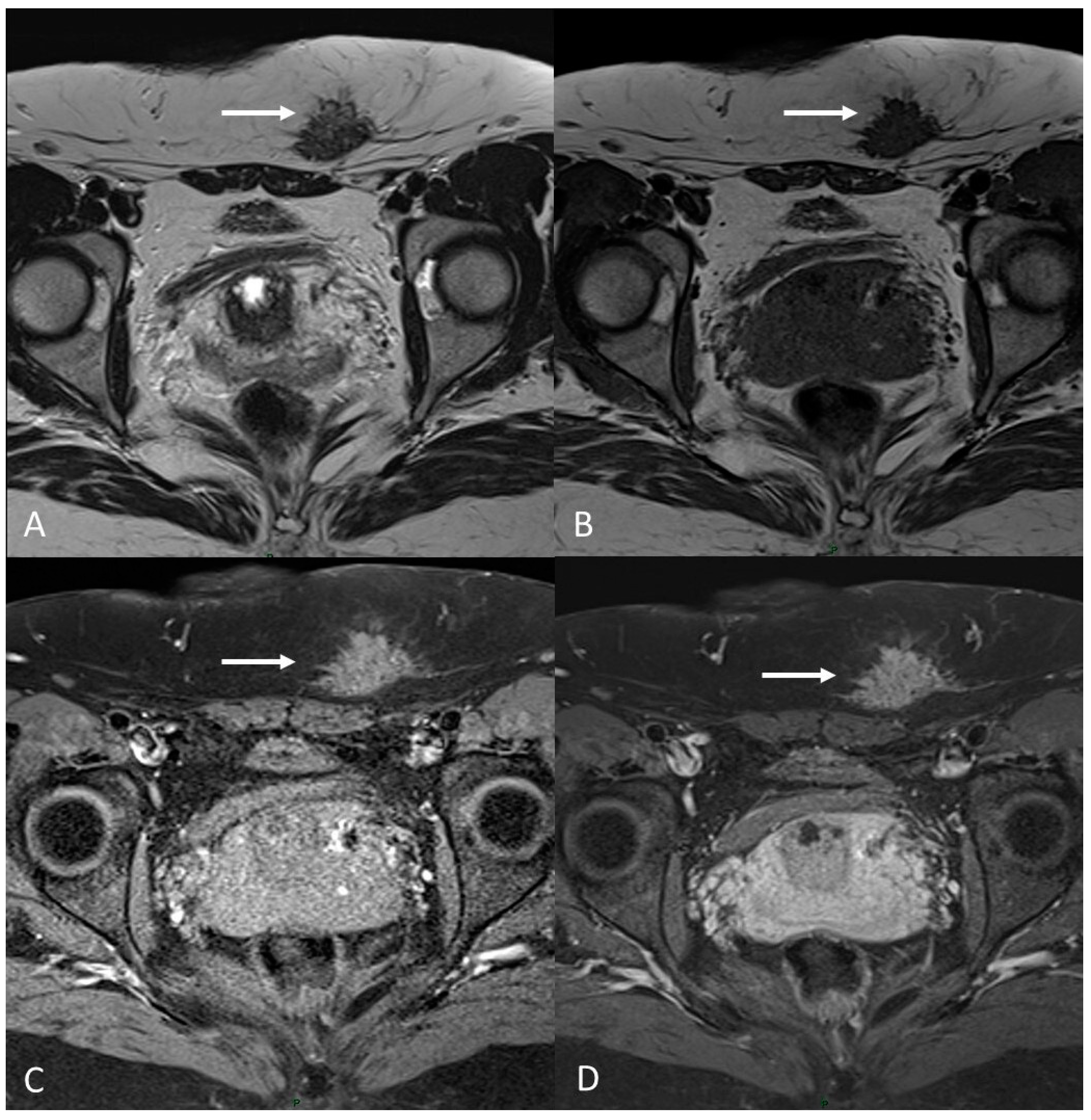 Applsci 13 10509 g012 Applsci 13 10509 g012