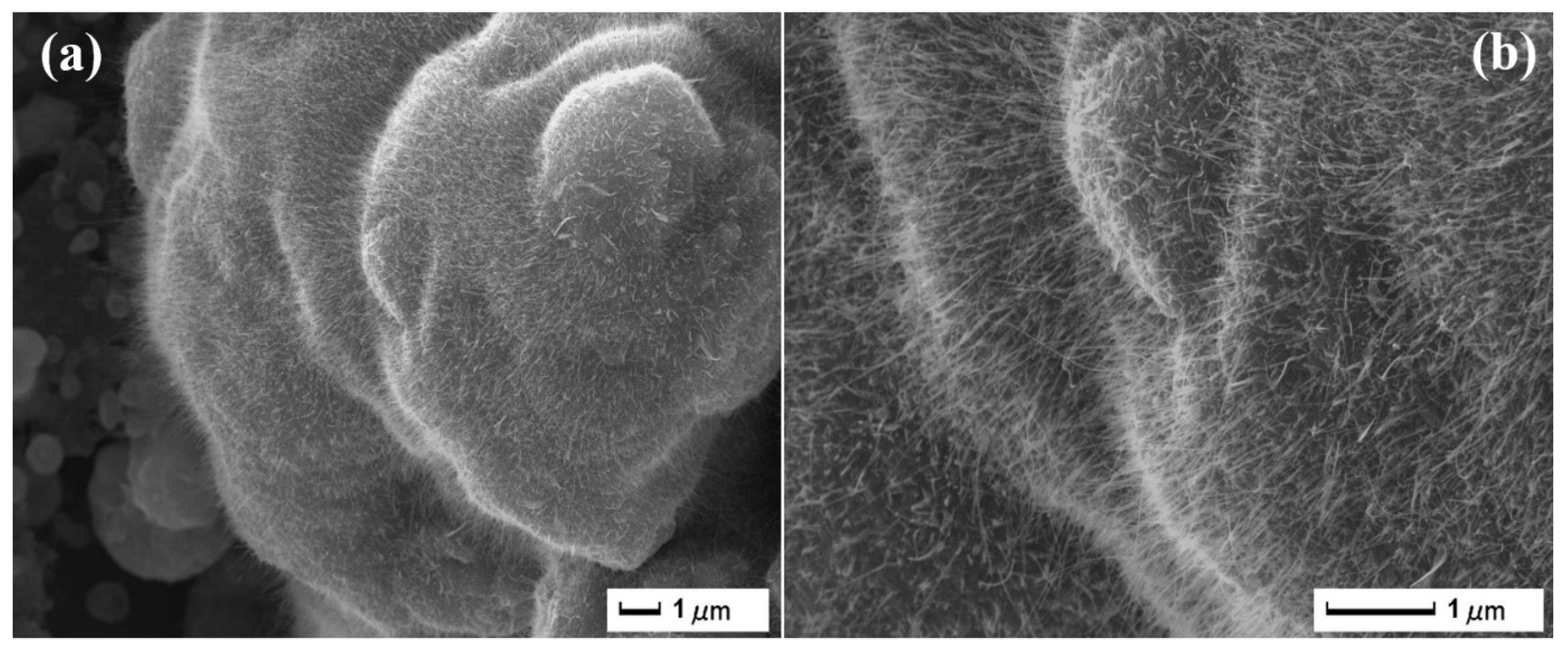 Applsci 13 10591 g006