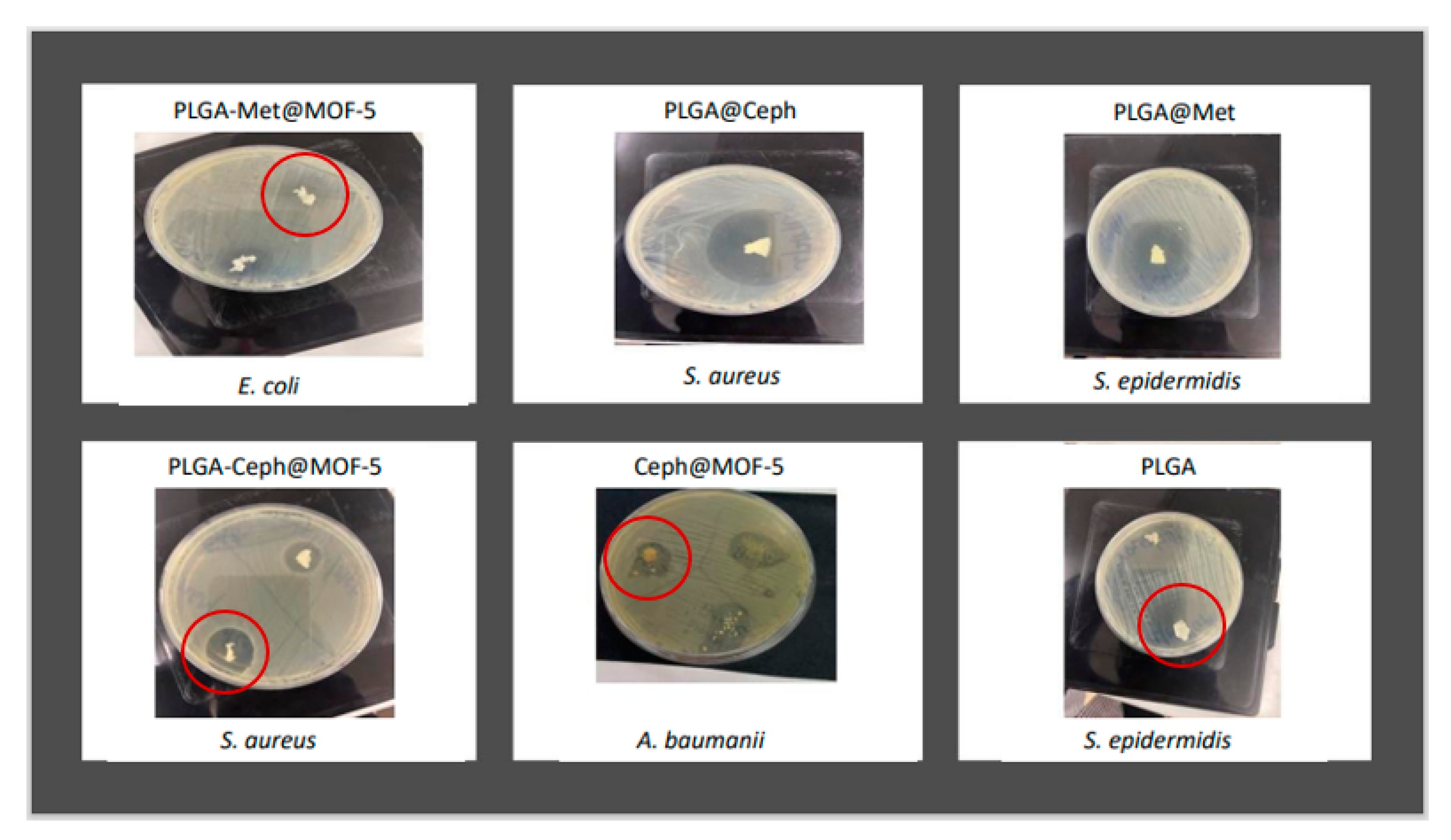 Applsci 13 10611 g009 Applsci 13 10611 g009