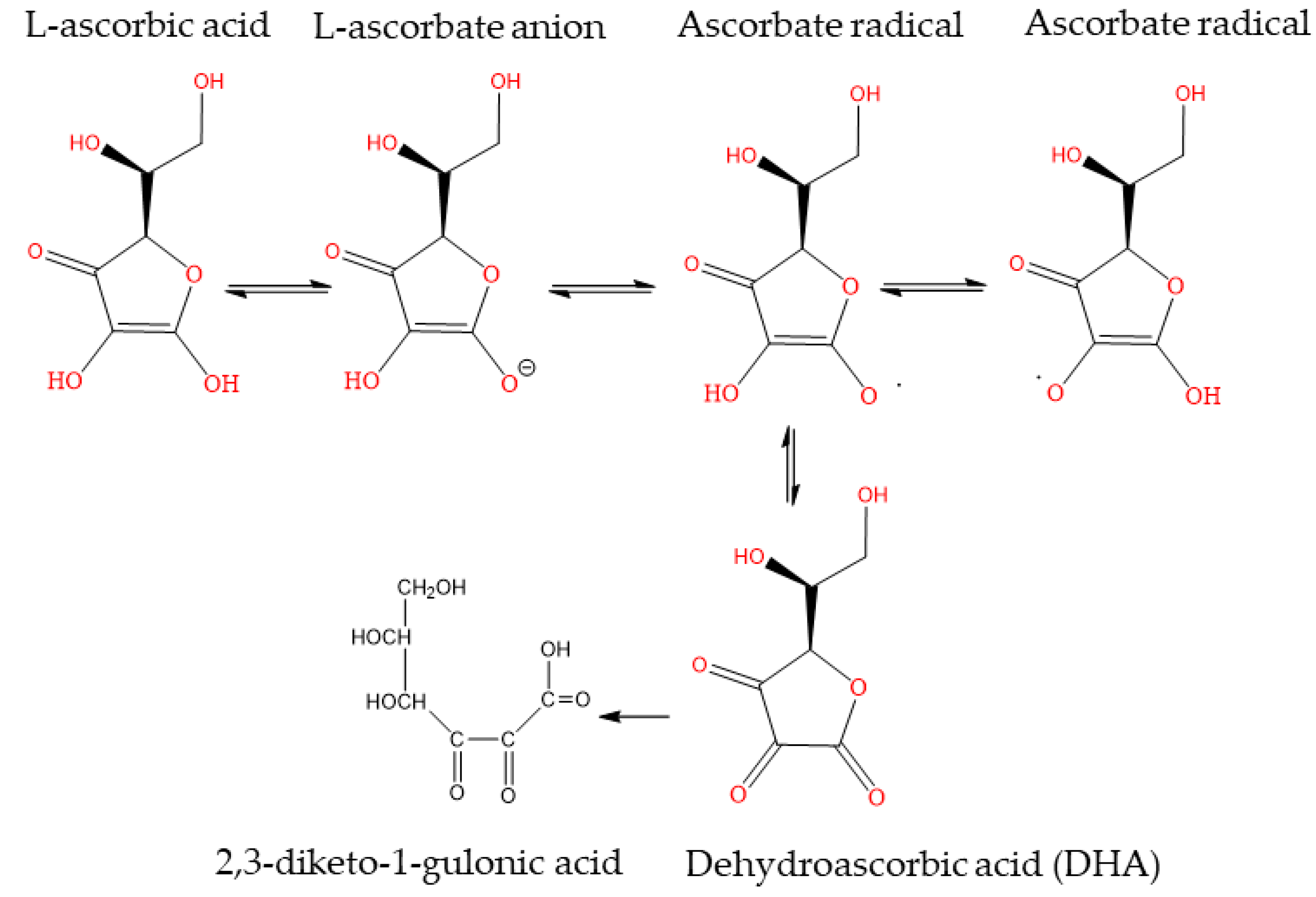 Applsci 13 10640 g001 Applsci 13 10640 g001