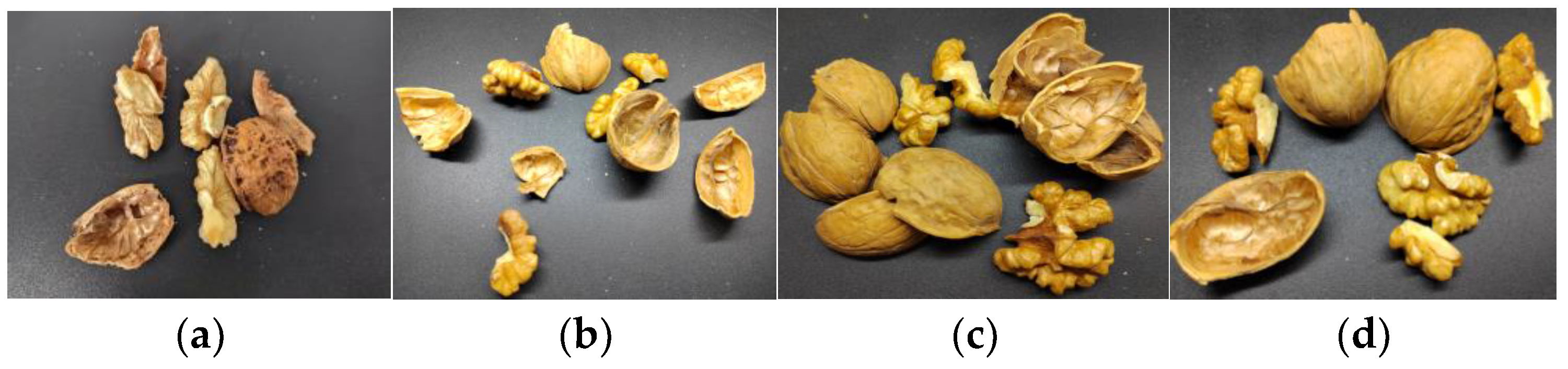 Applsci 13 10685 g002 Applsci 13 10685 g002