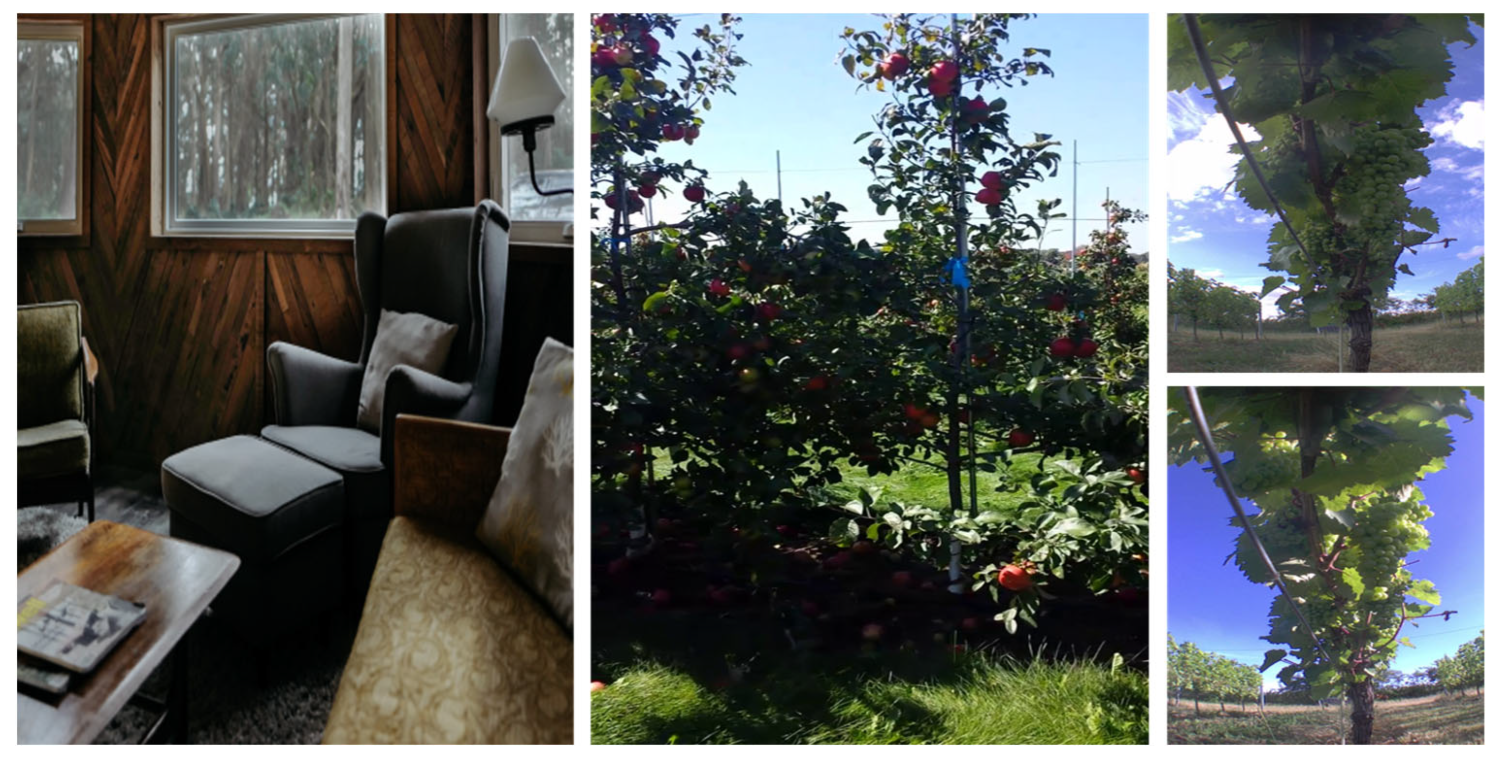 Applsci 13 10760 g001