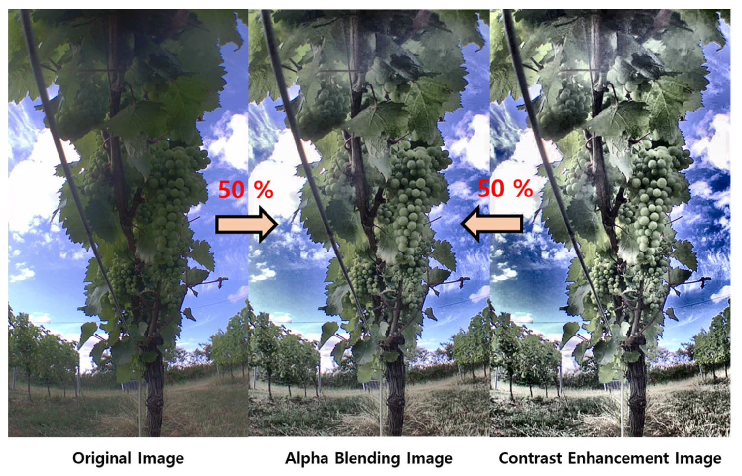 Applsci 13 10760 g006