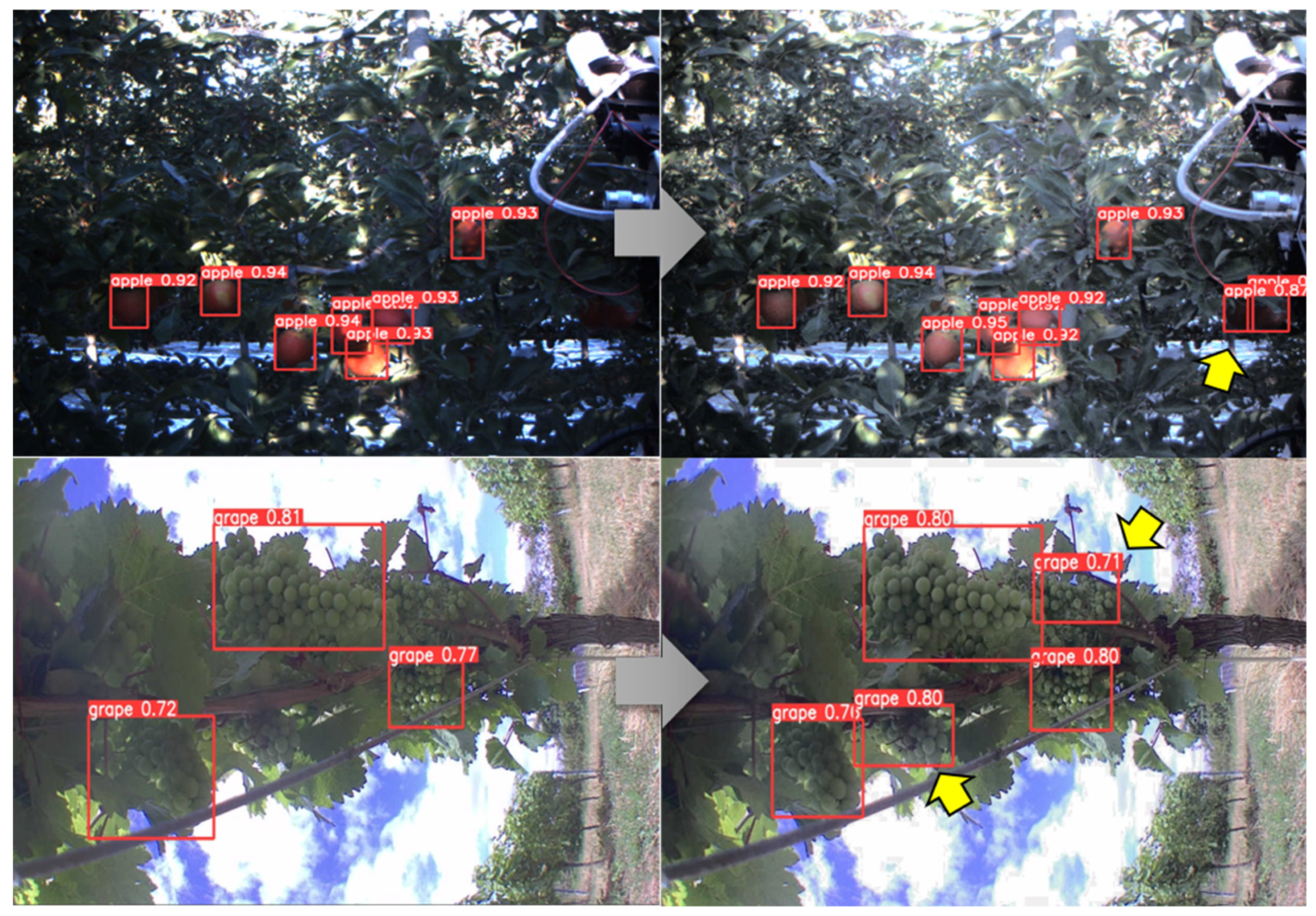 Applsci 13 10760 g012