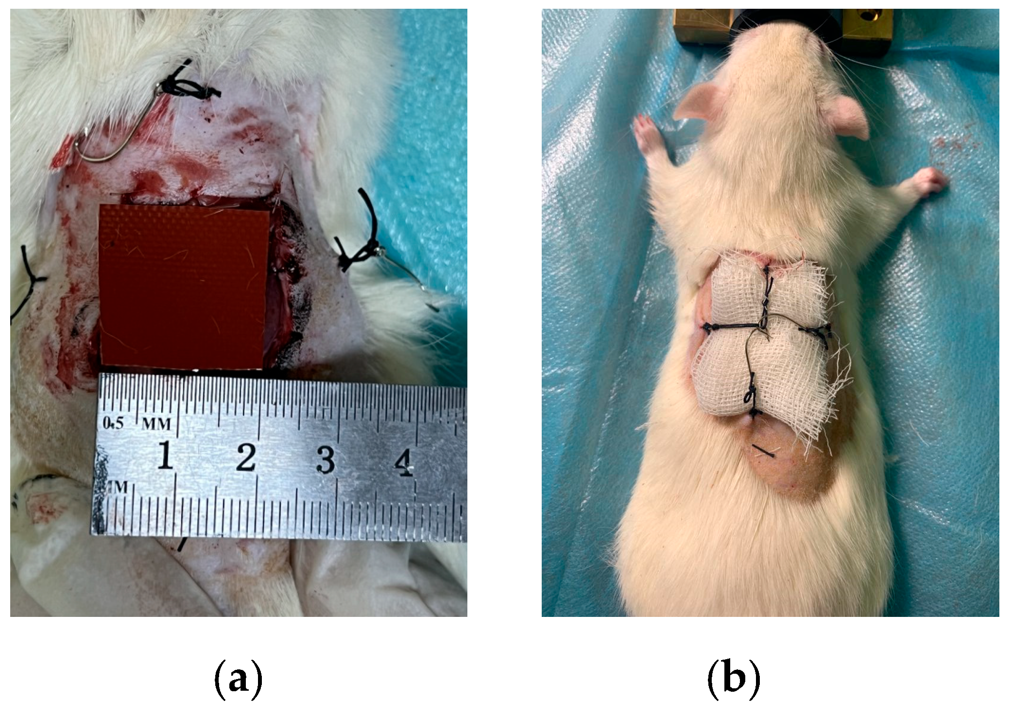 Applsci 13 10794 g004