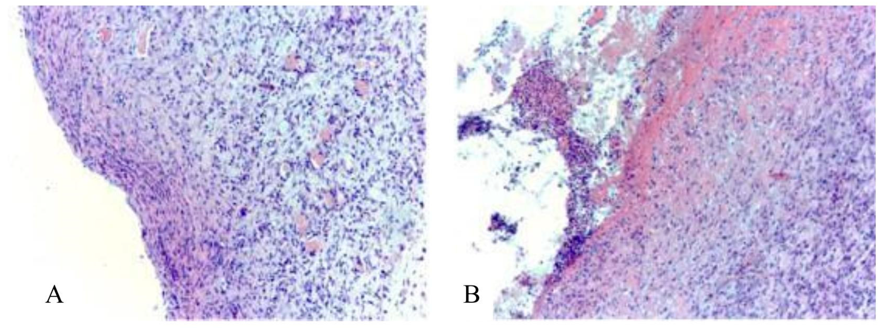 Applsci 13 10794 g008