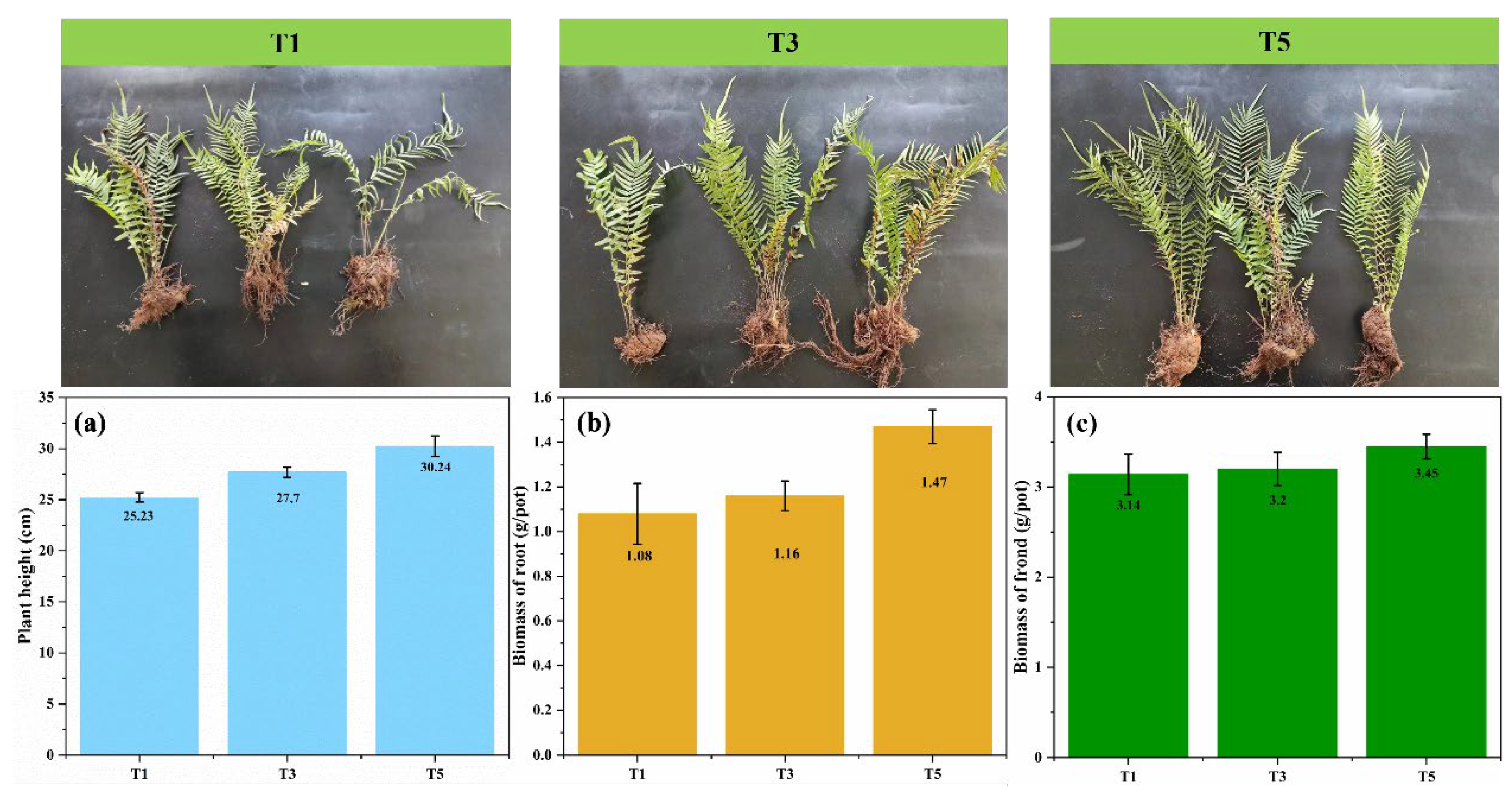 Applsci 13 10921 g003