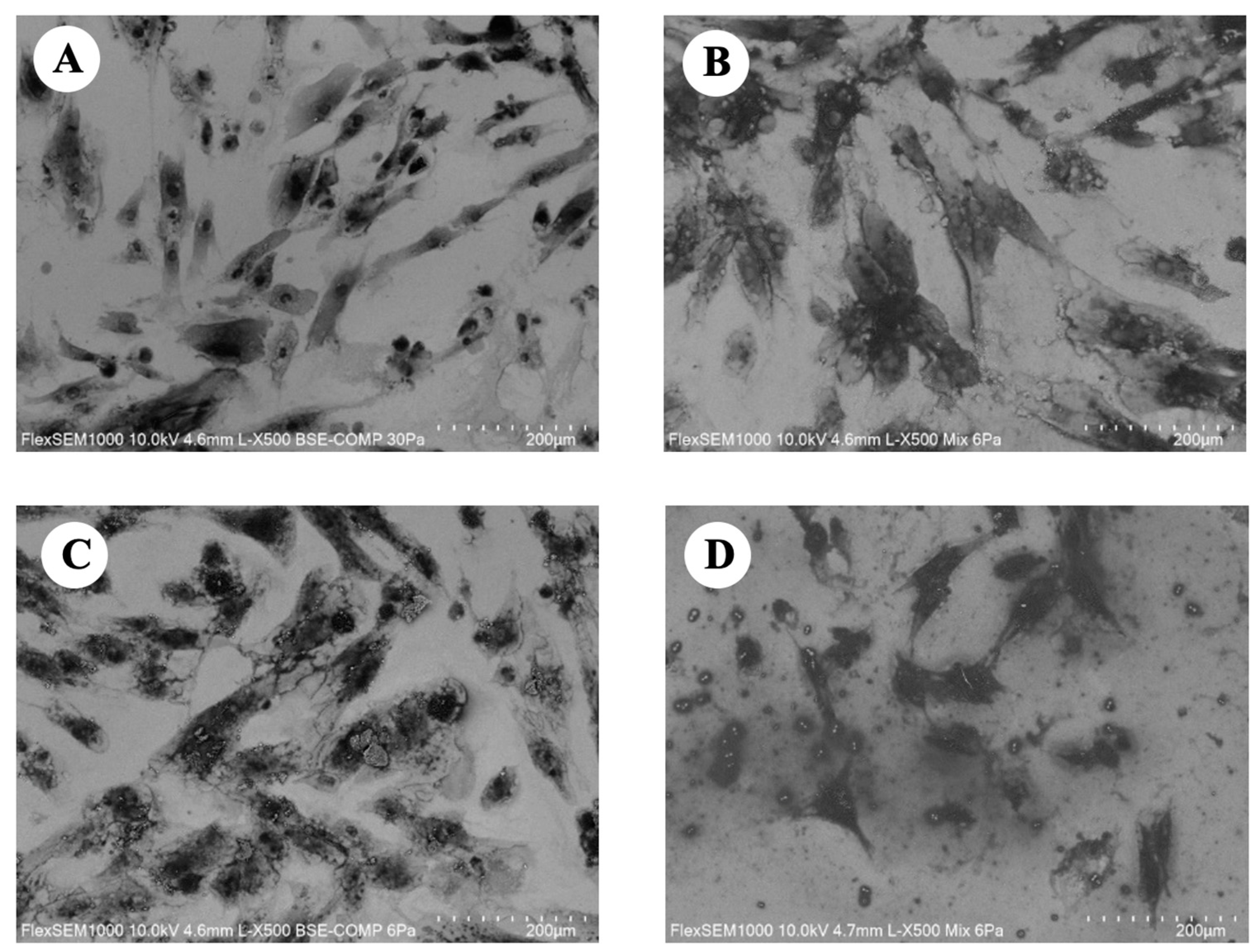 Applsci 13 10976 g003