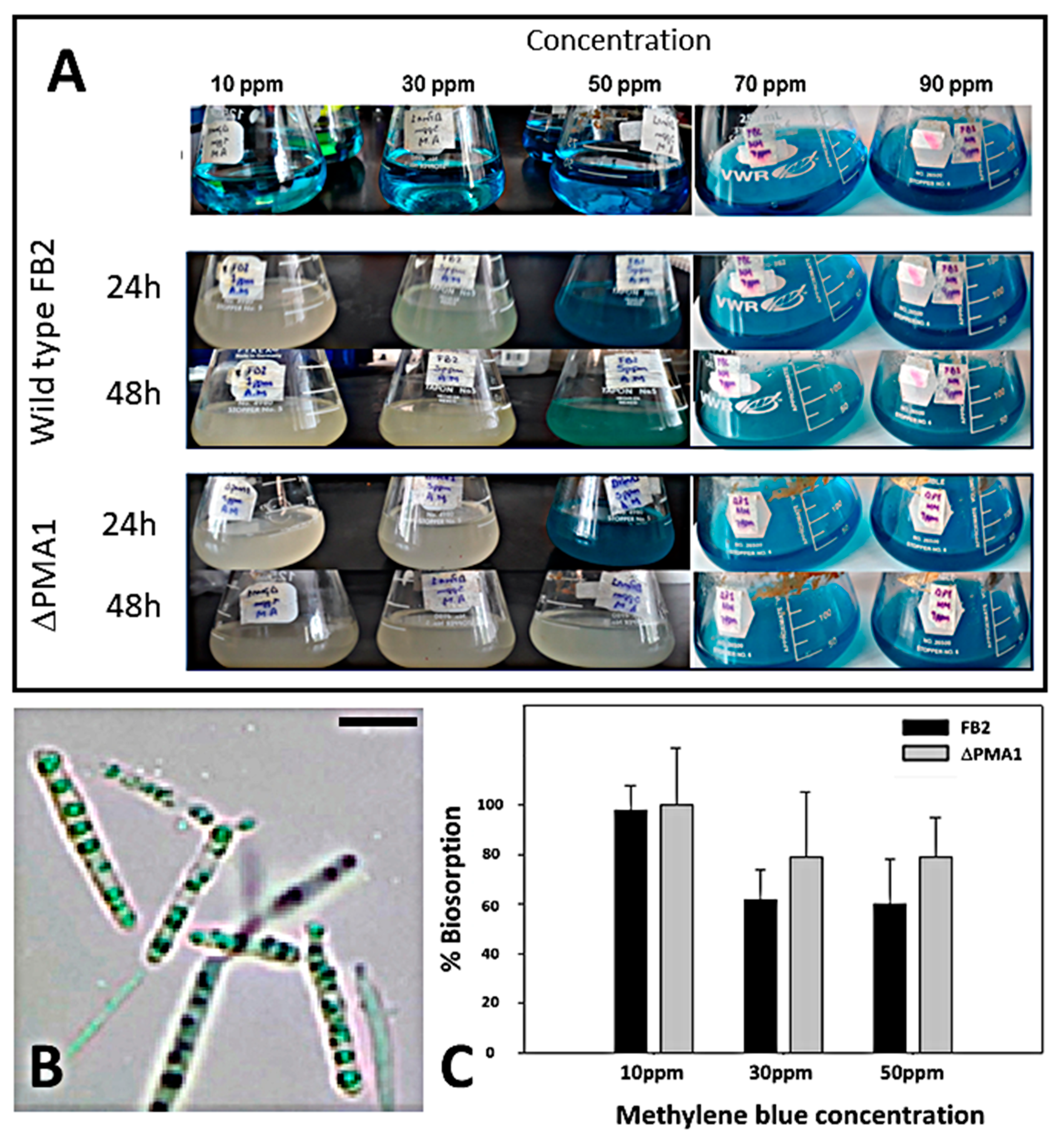 Applsci 13 11288 g009