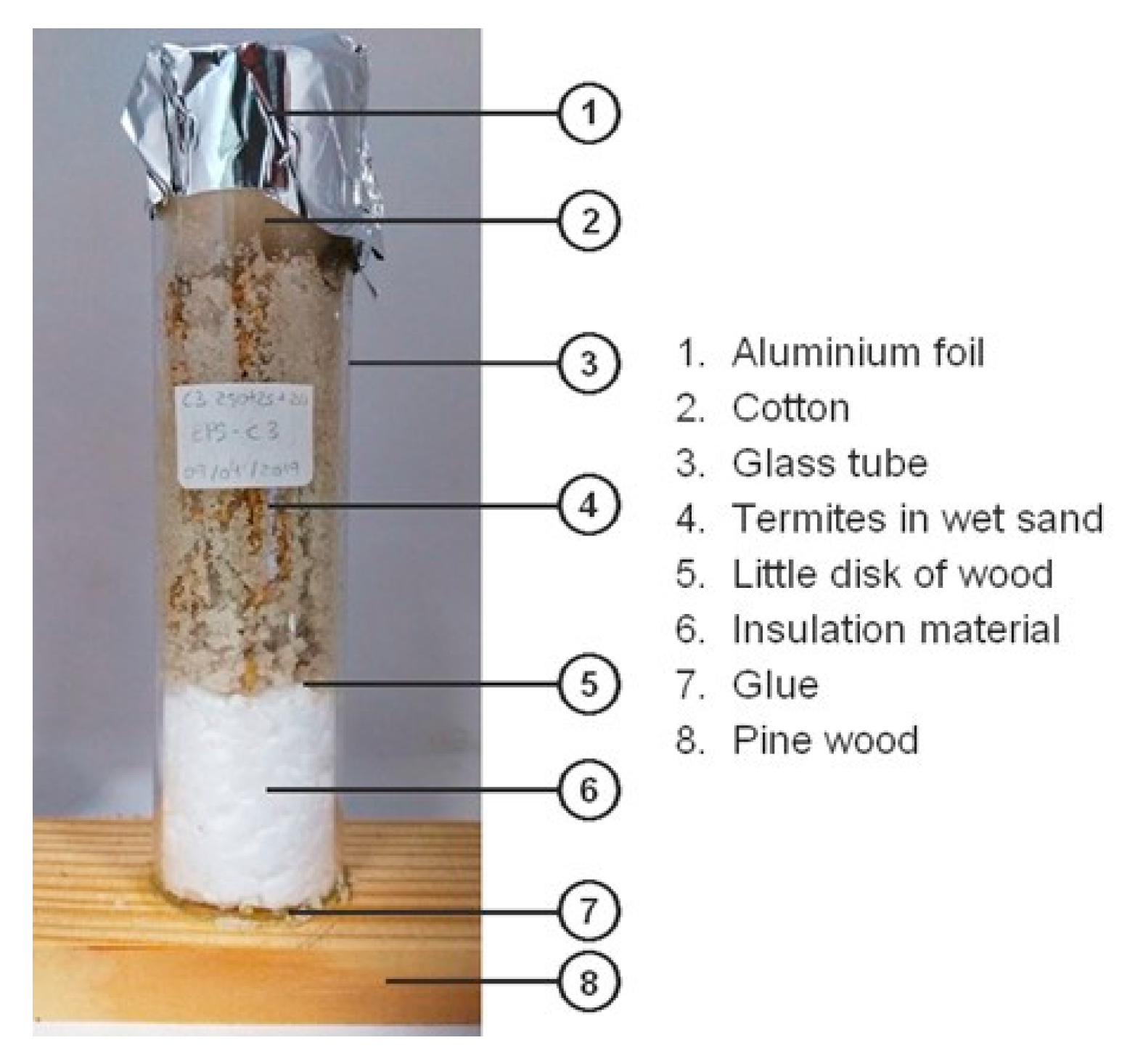 Applsci 13 11311 g002