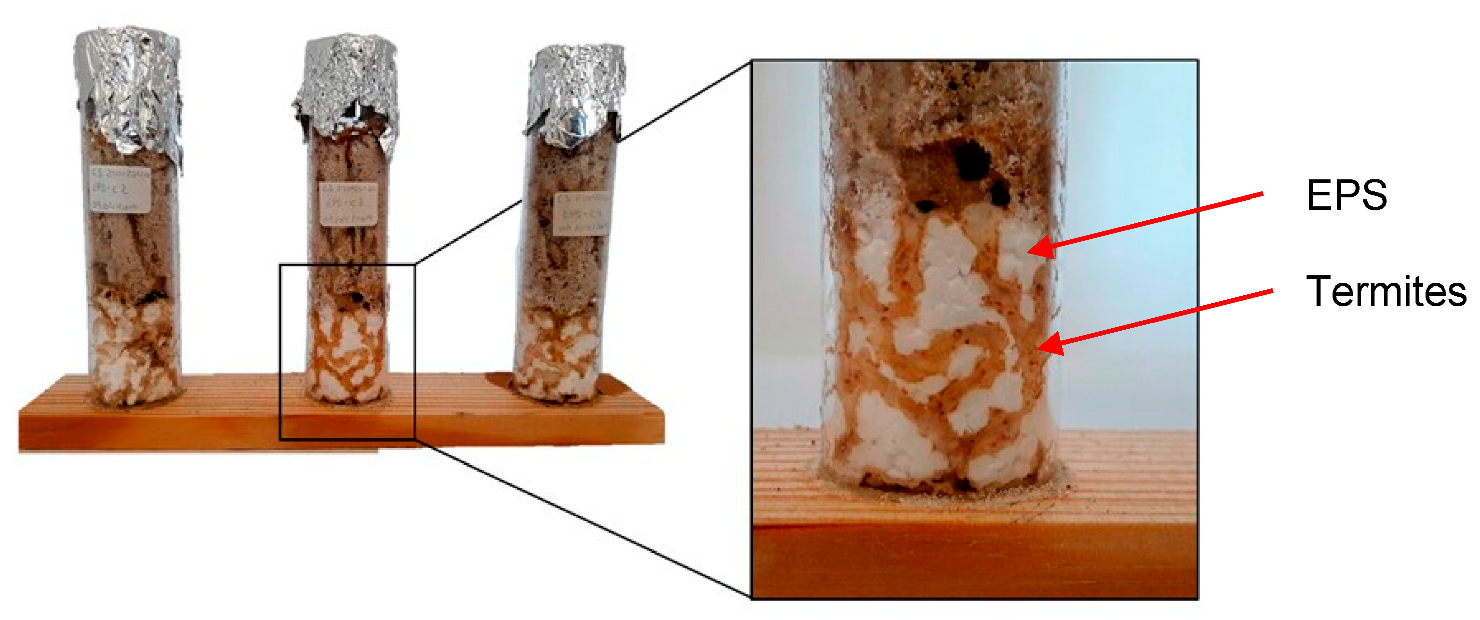 Applsci 13 11311 g004