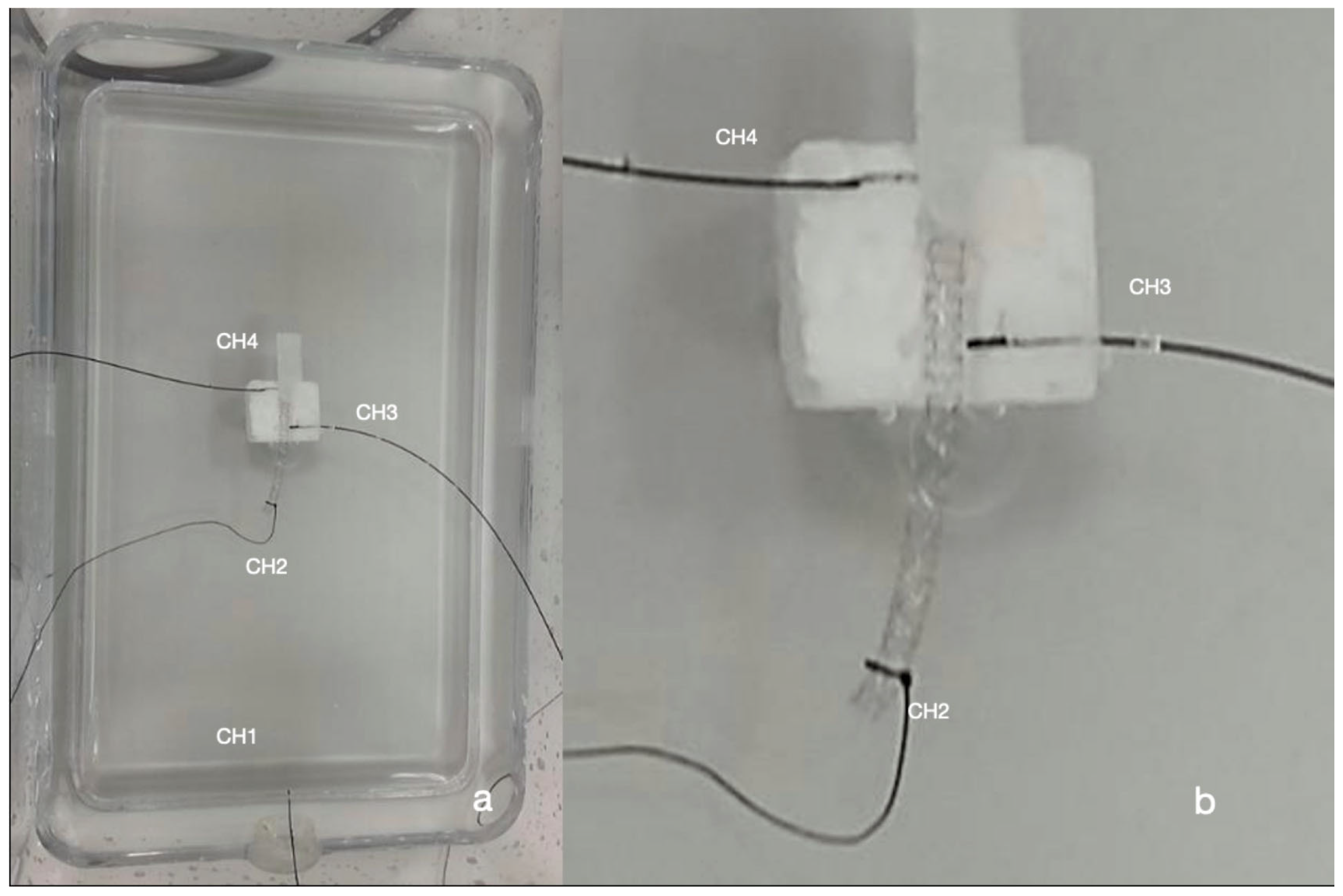 Applsci 13 11414 g001