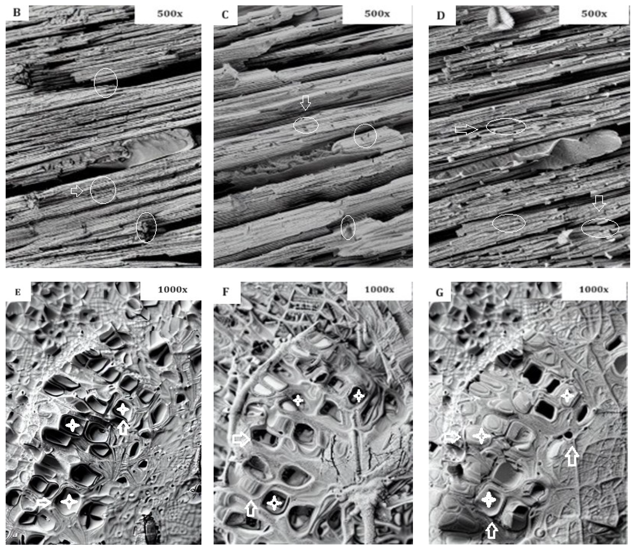 Applsci 13 11482 g005