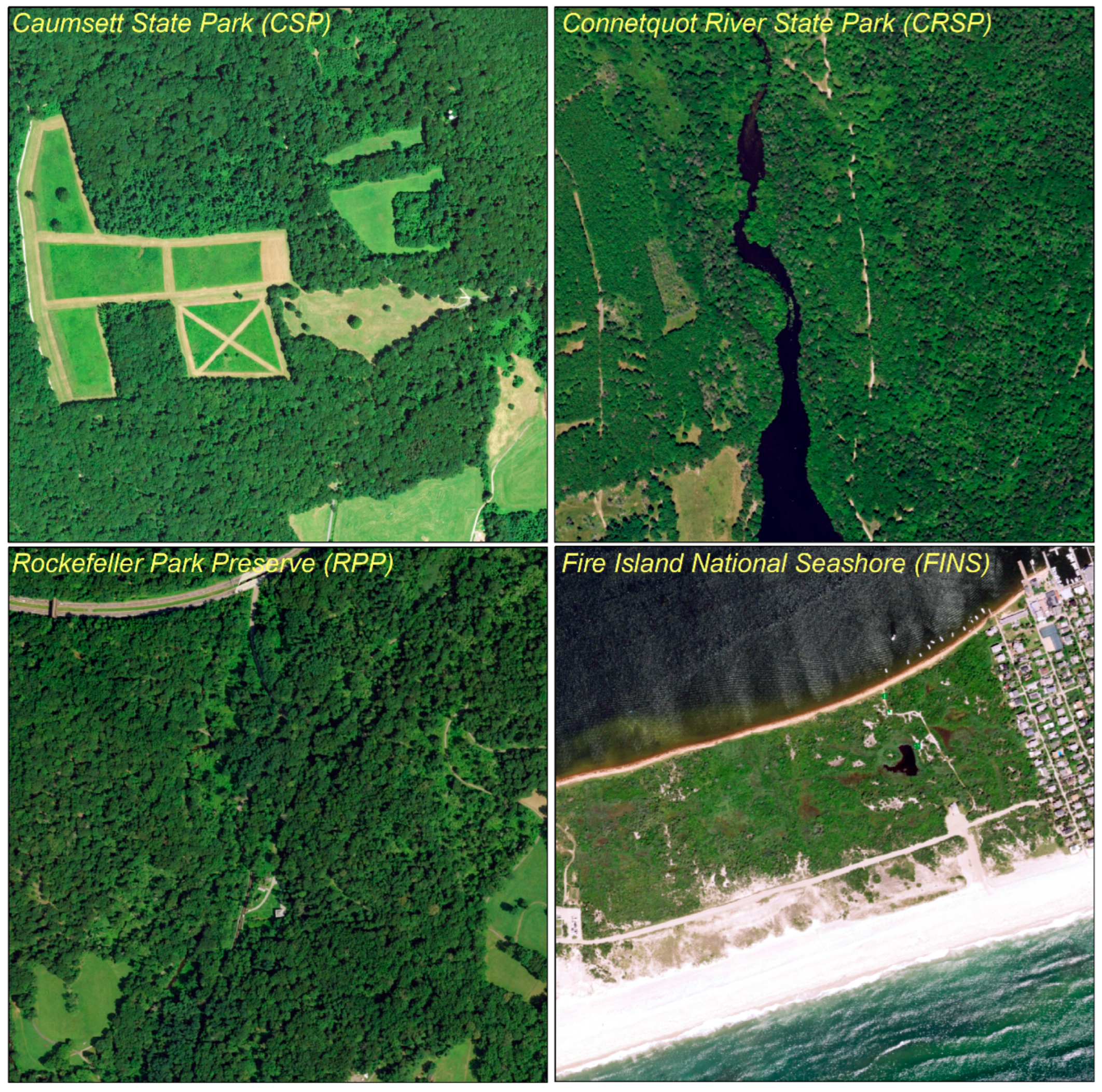 Applsci 13 11587 g002