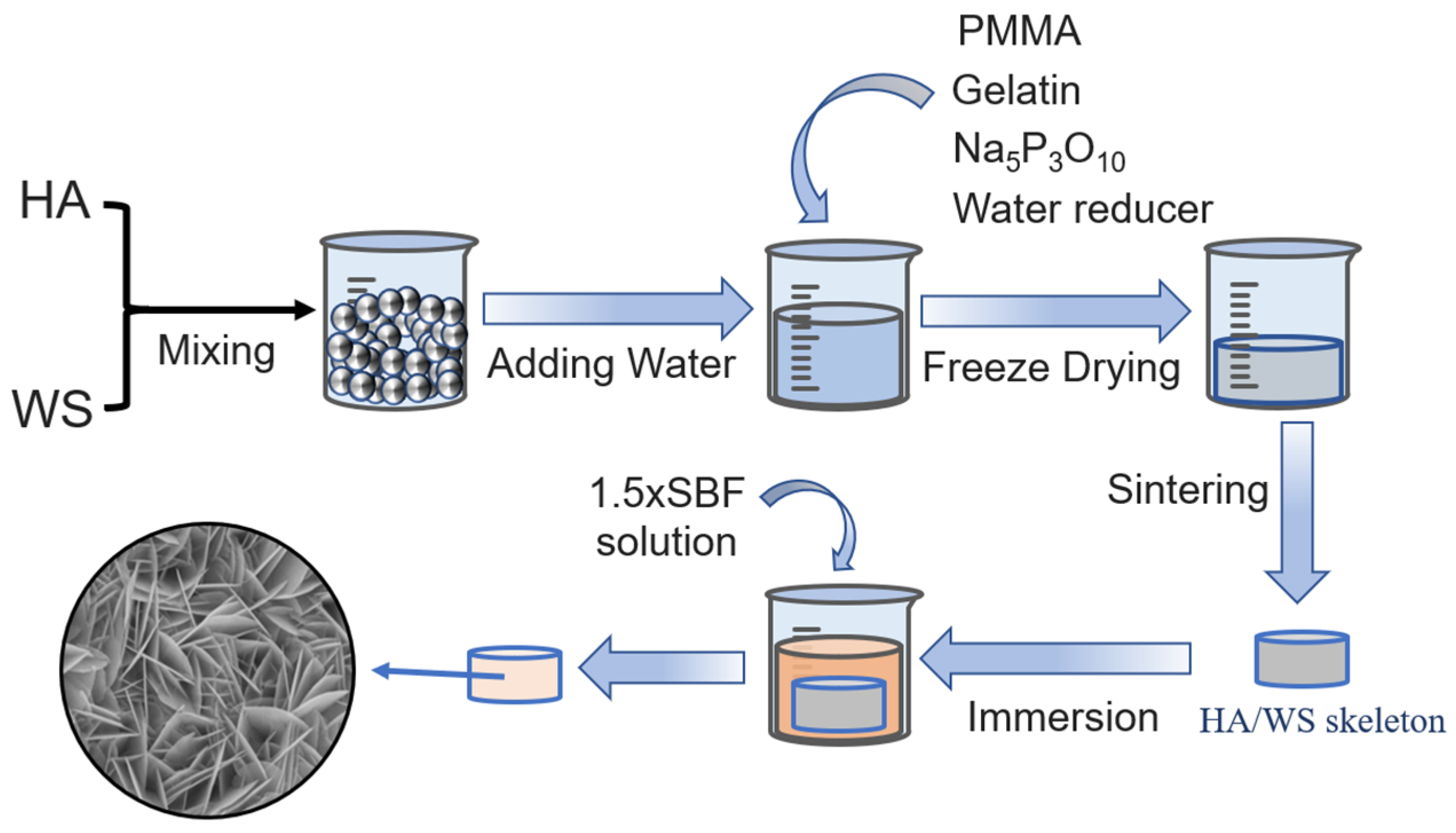 Applsci 13 11593 g001