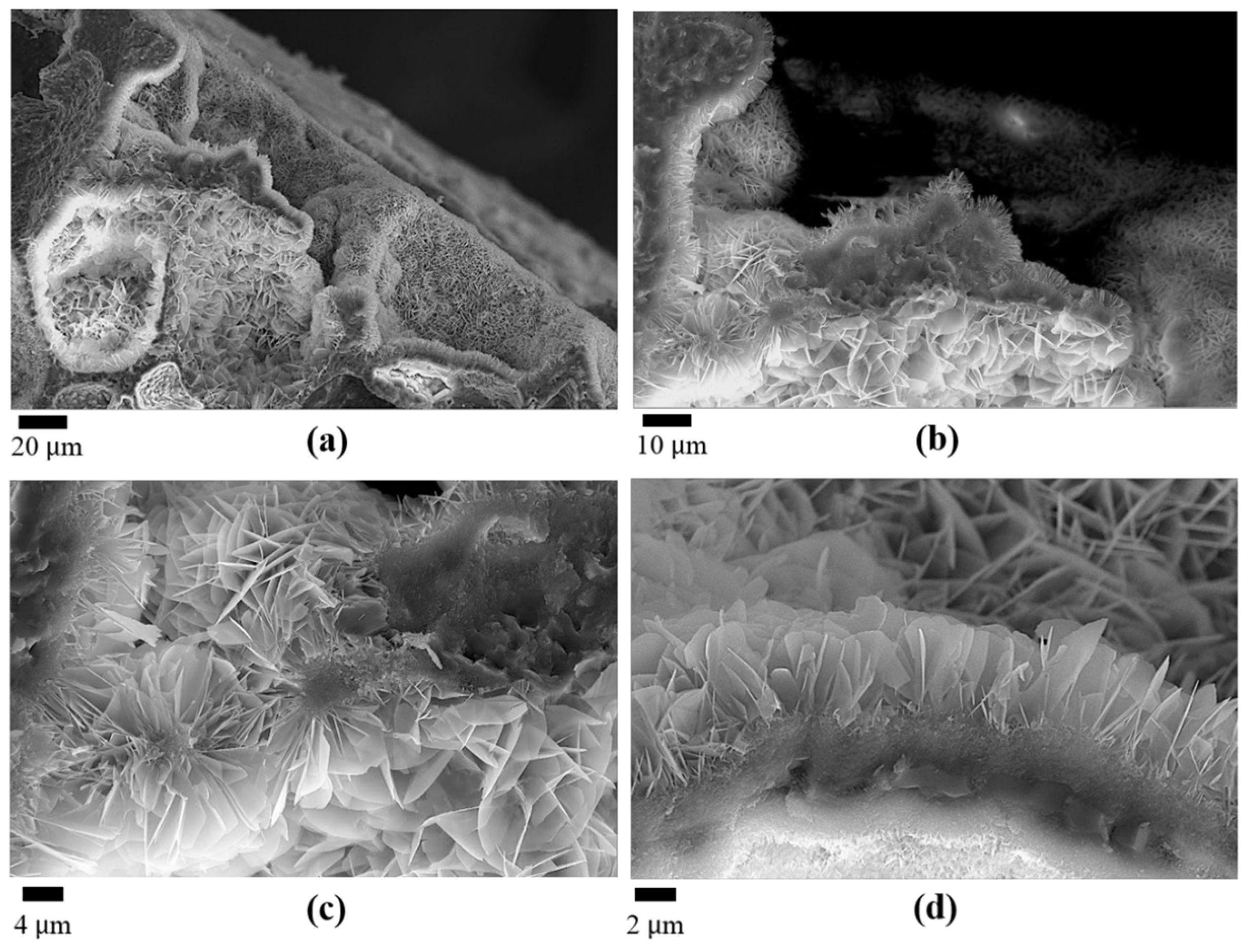 Applsci 13 11593 g003