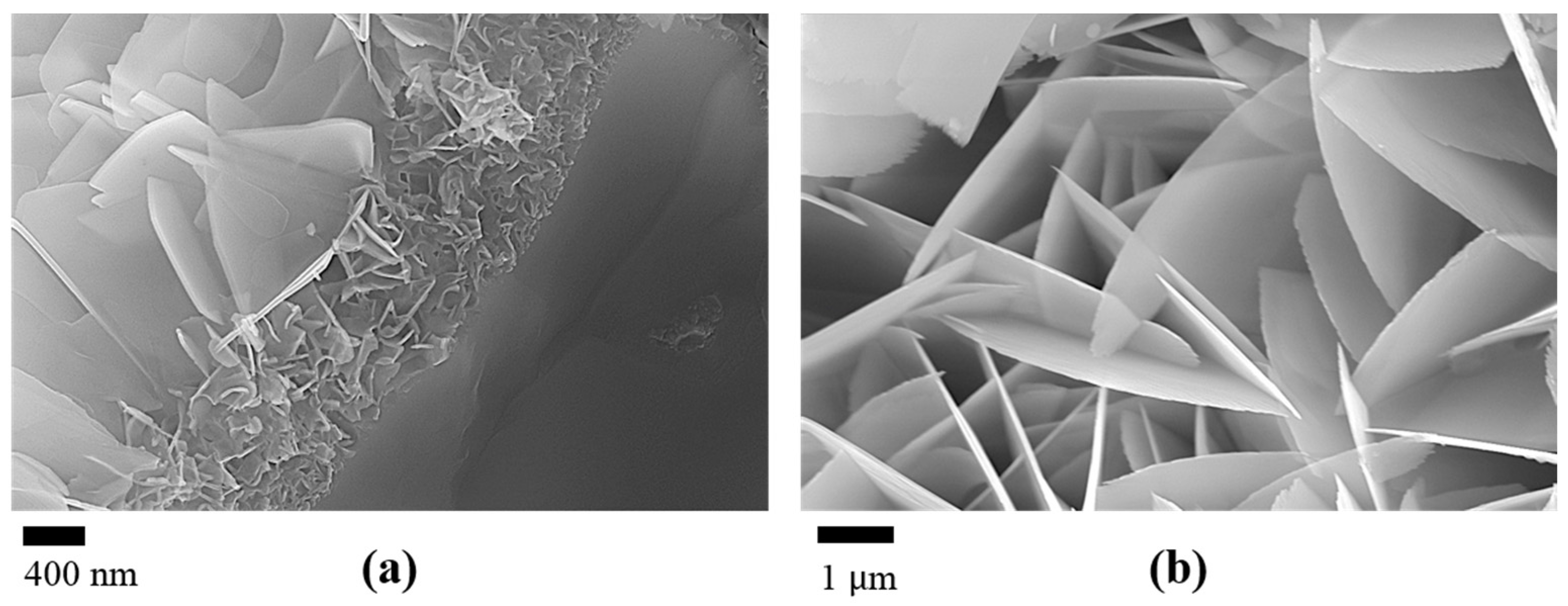 Applsci 13 11593 g005