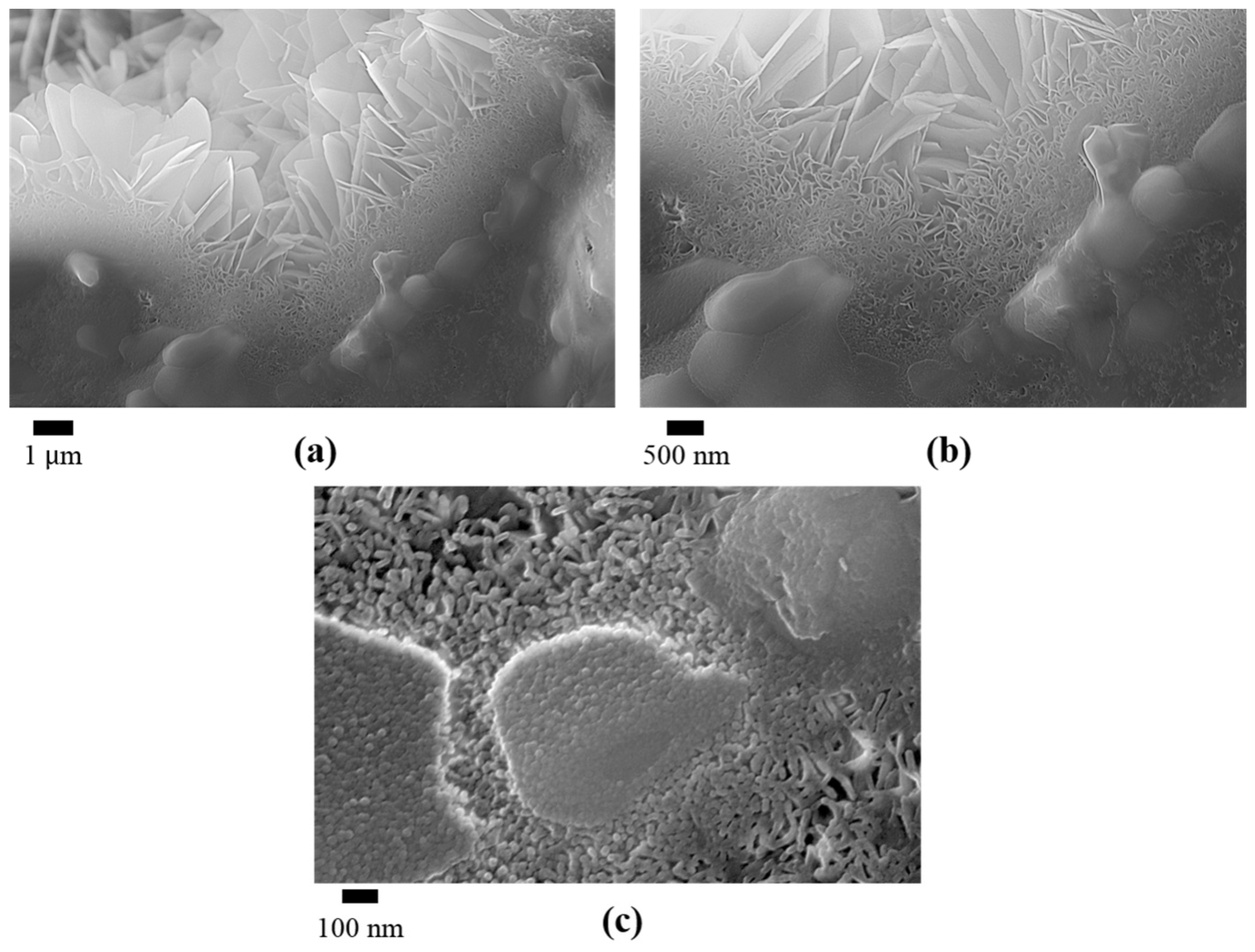 Applsci 13 11593 g006