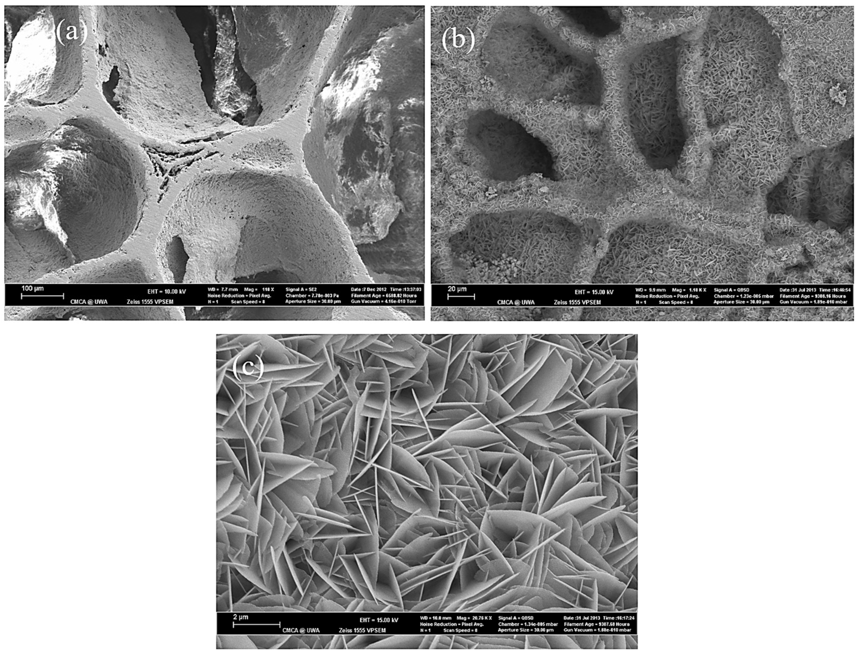 Applsci 13 11593 g009