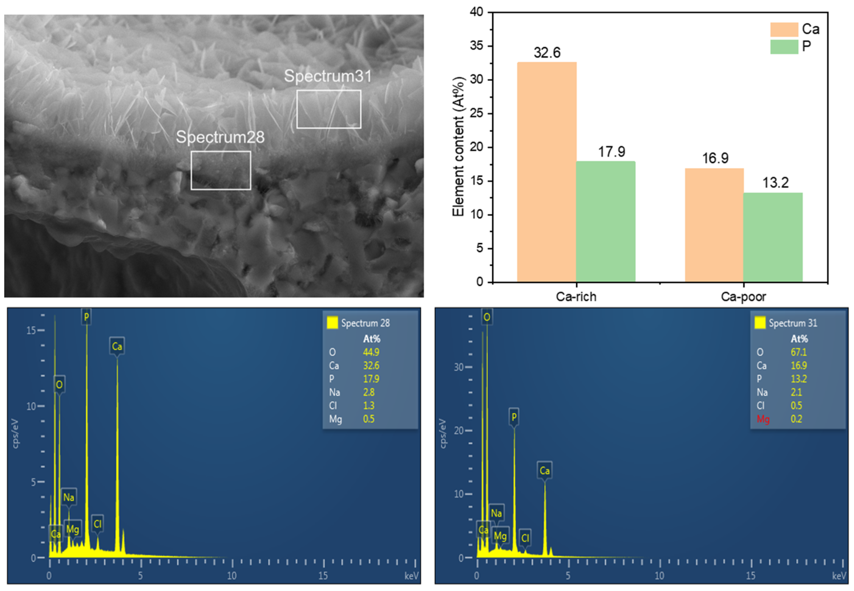 Applsci 13 11593 g016