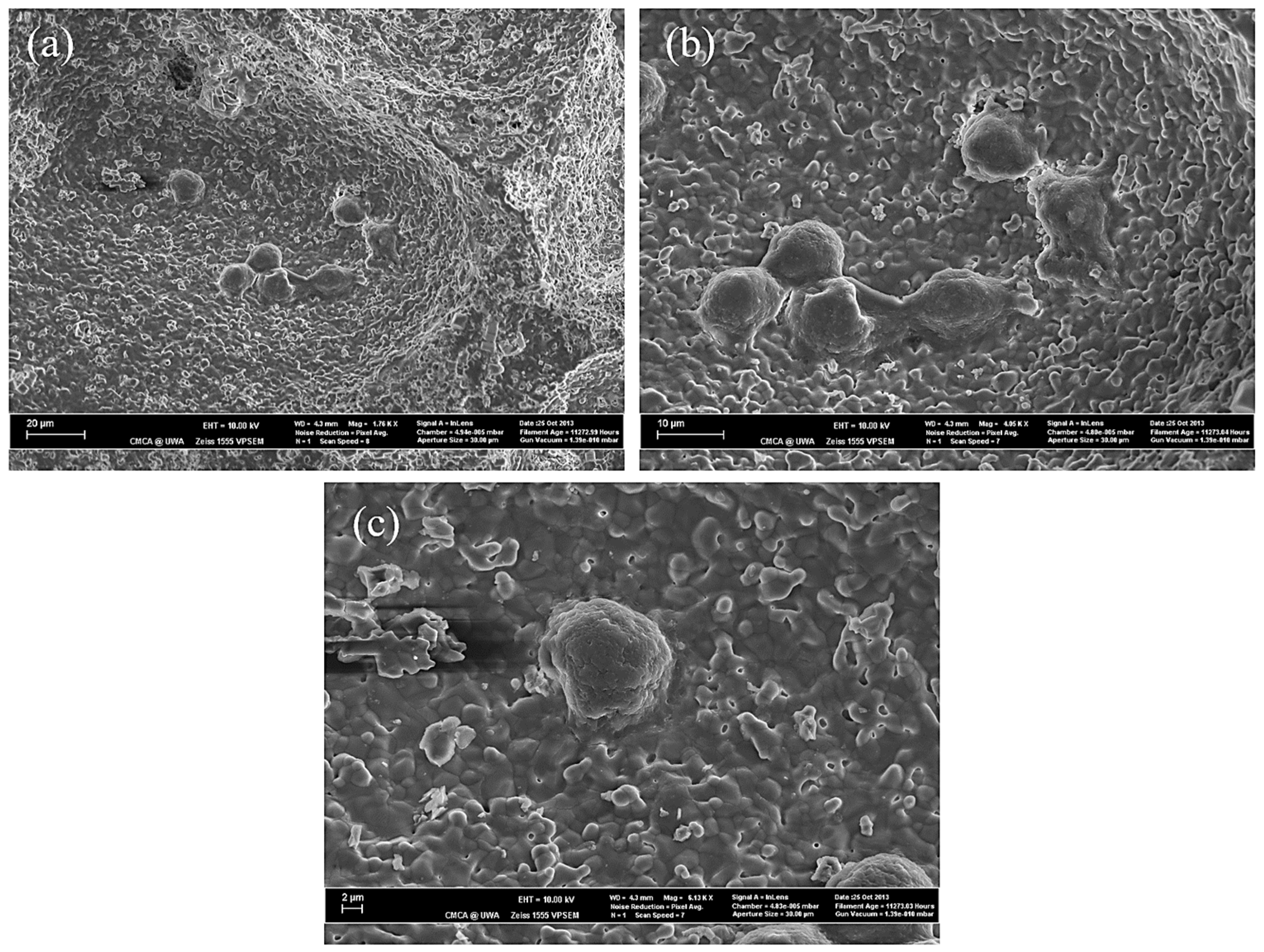 Applsci 13 11593 g018