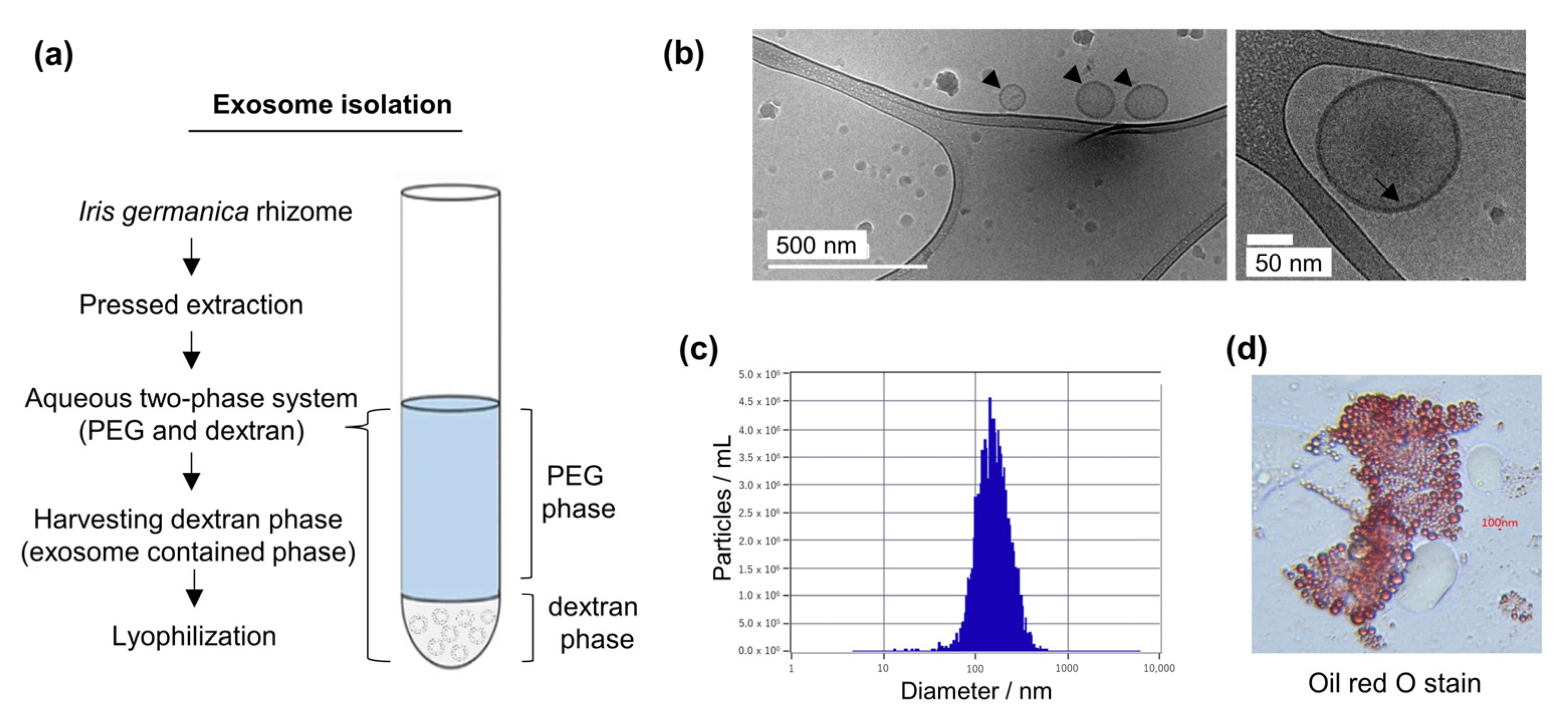 Applsci 13 11681 g001