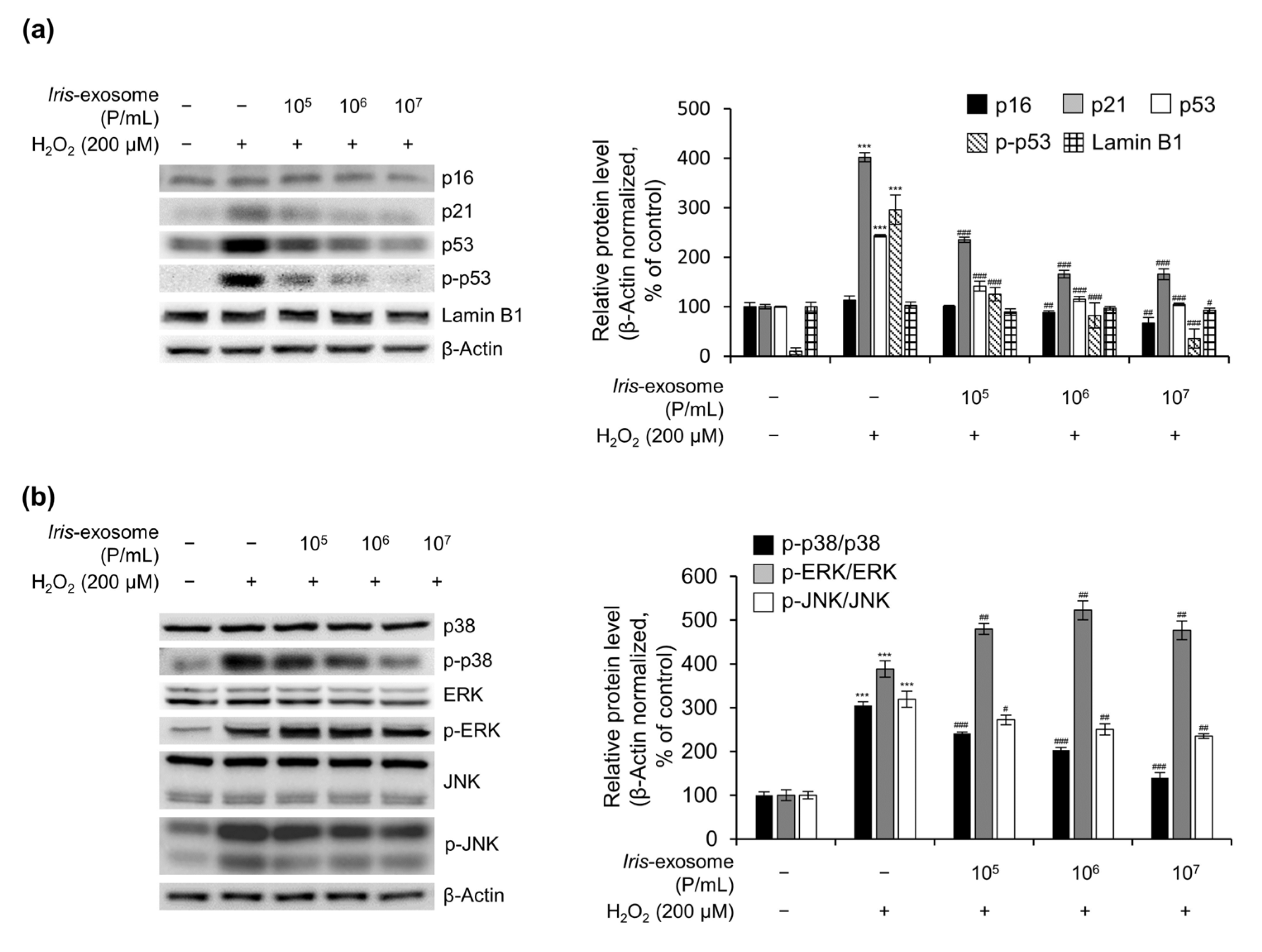 Applsci 13 11681 g005