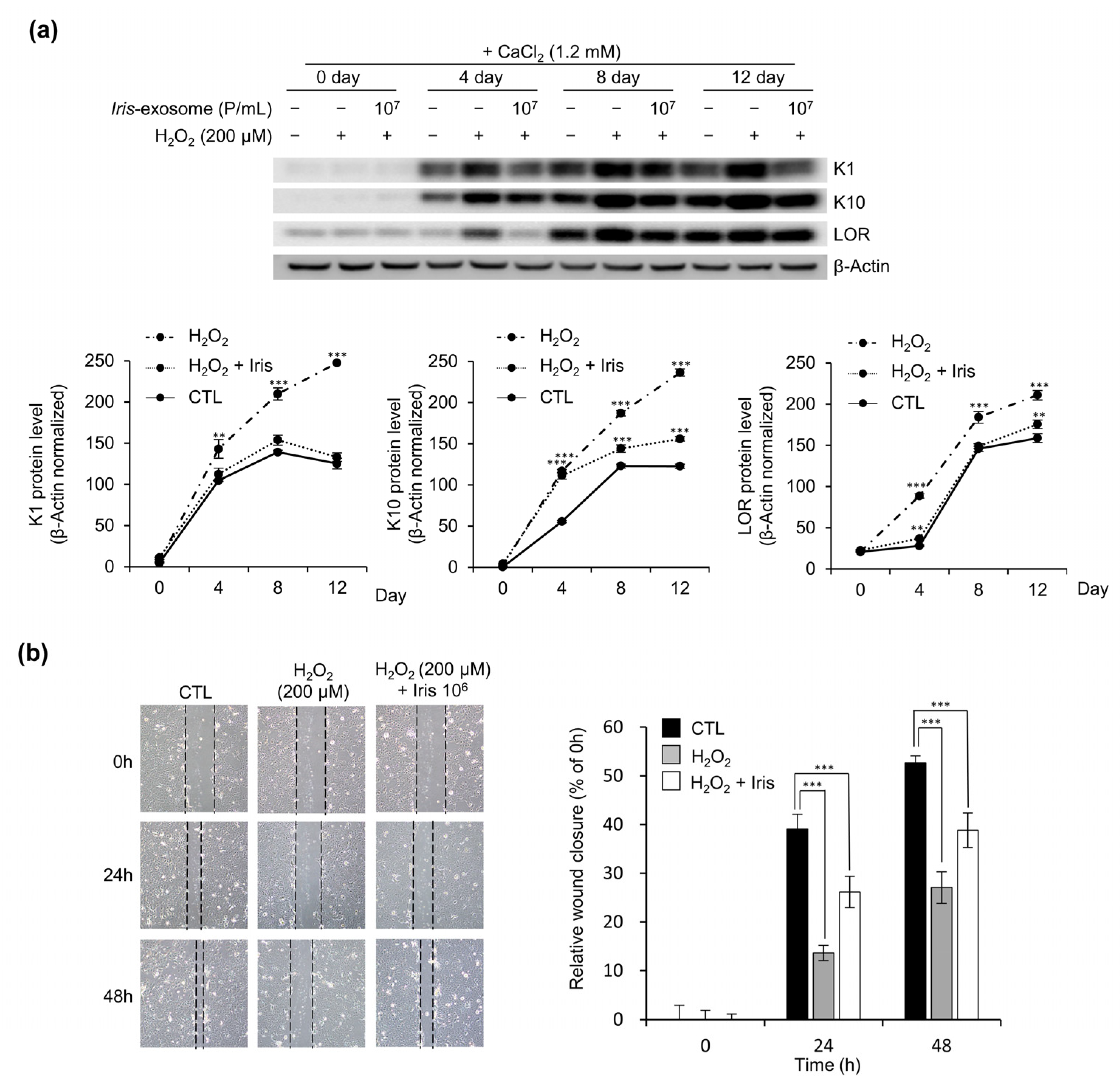 Applsci 13 11681 g006