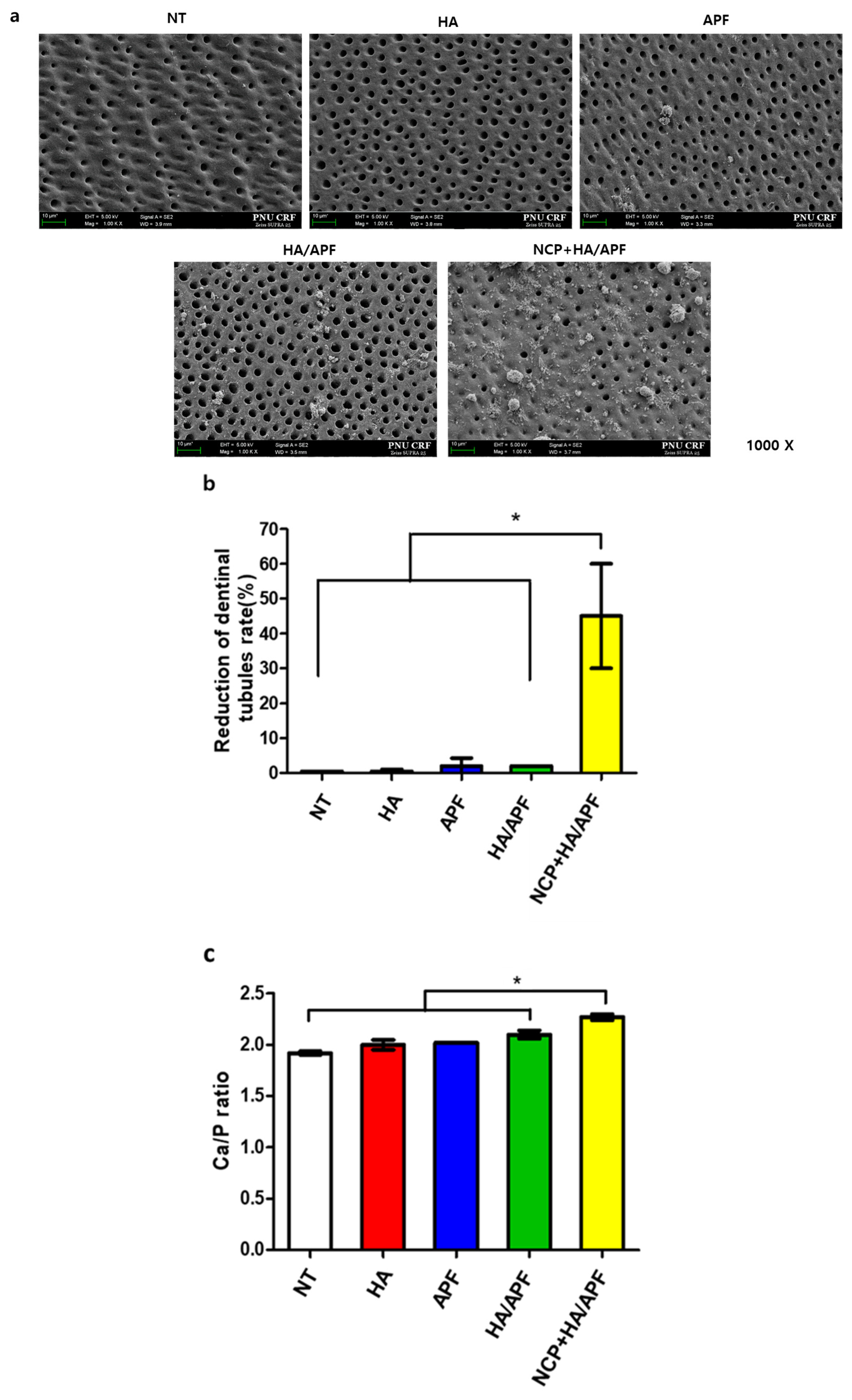 Applsci 13 11728 g005