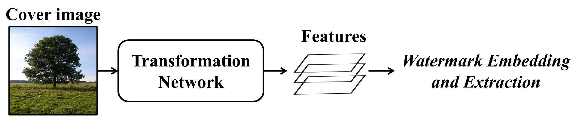 Applsci 13 11852 g003