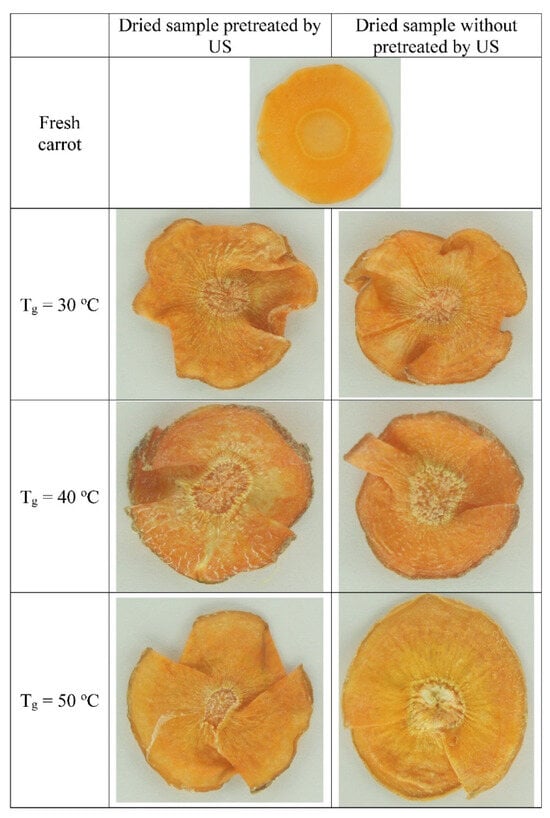 Ultrasonic Knife vs. Carrot 