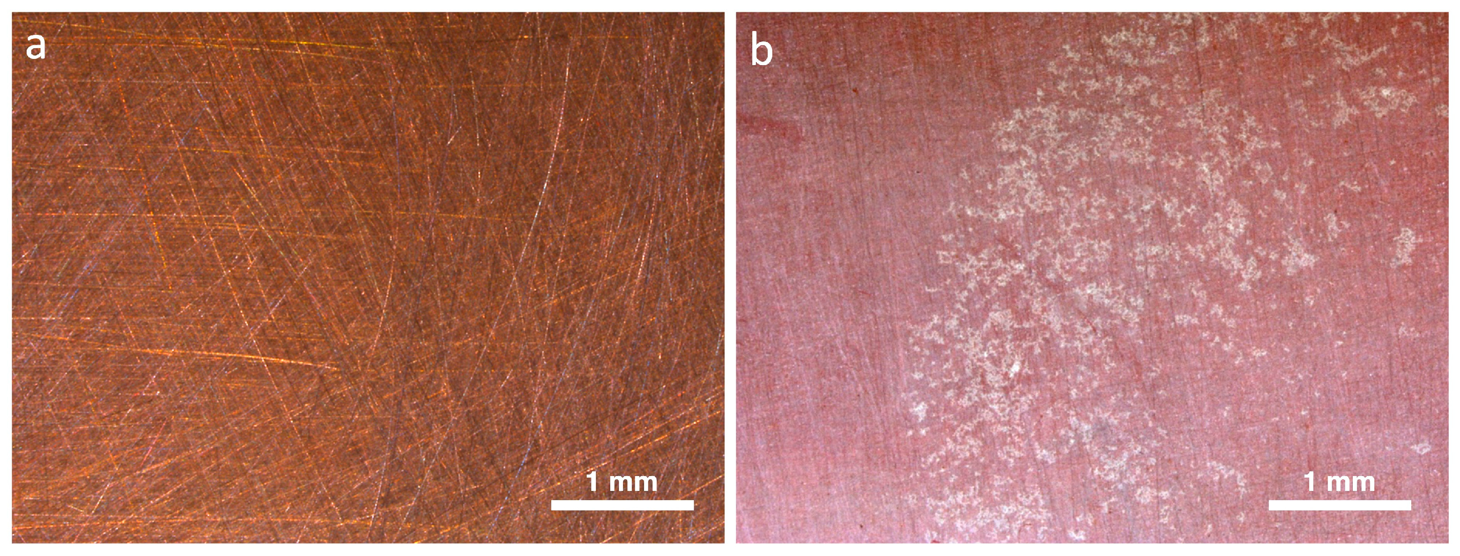 Applsci 13 11873 g007 Applsci 13 11873 g007