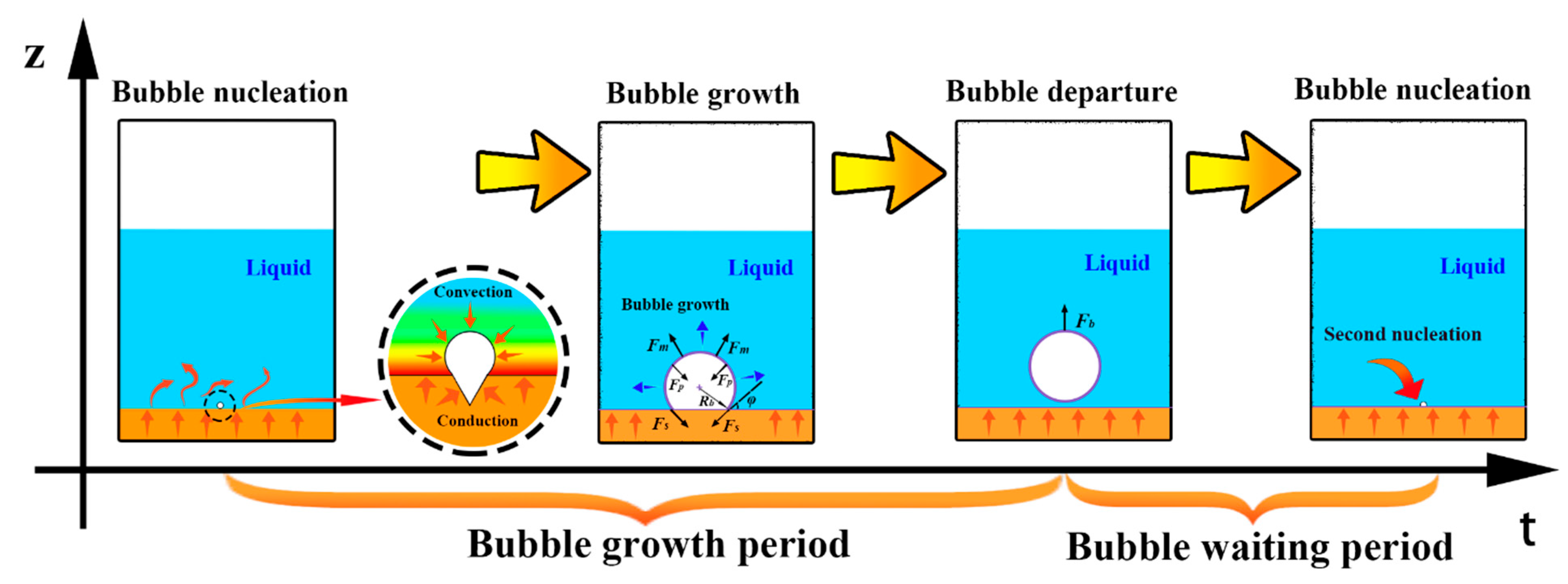 The Secret Science of Bubbles - American Chemical Society