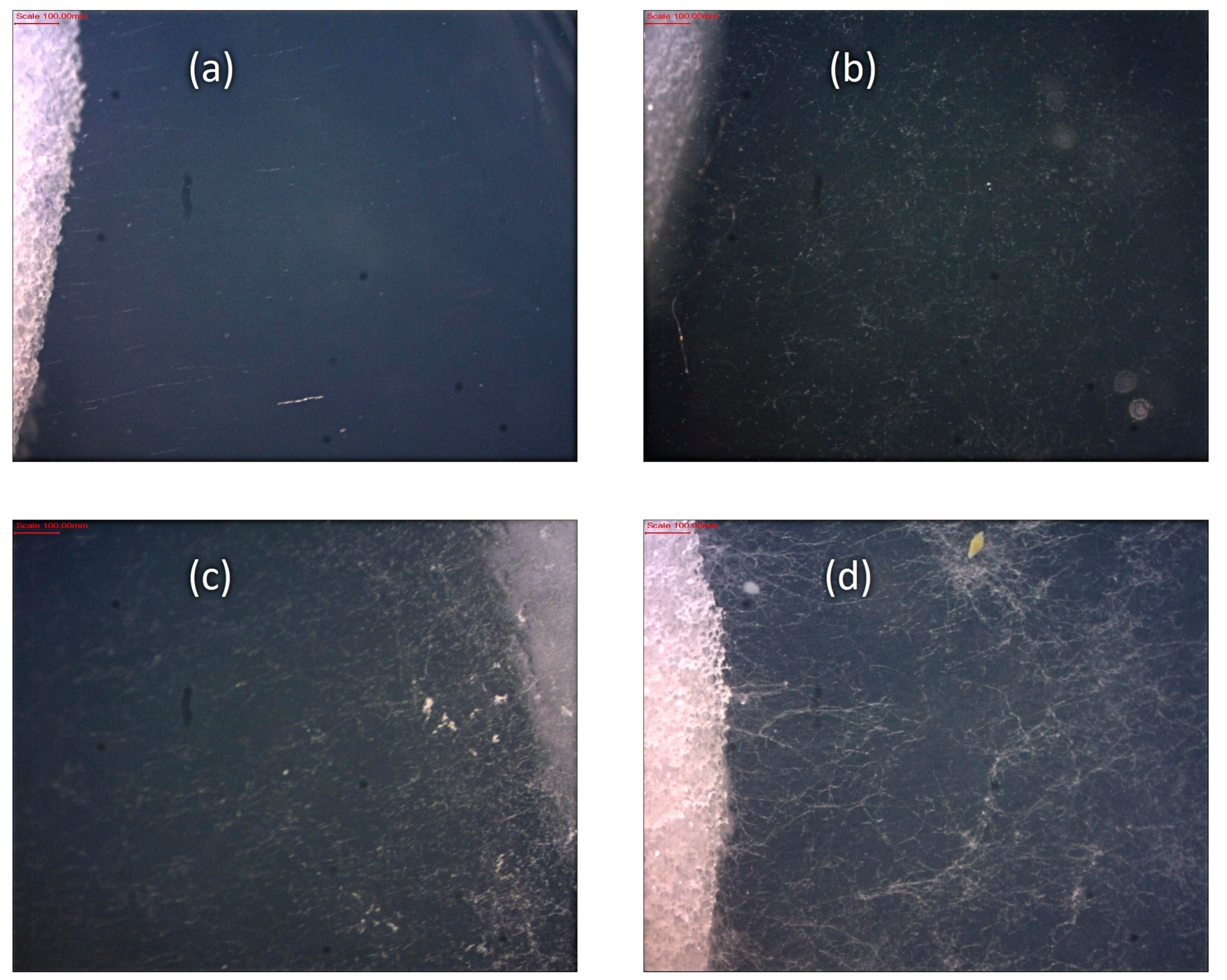 Applsci 13 12028 g006