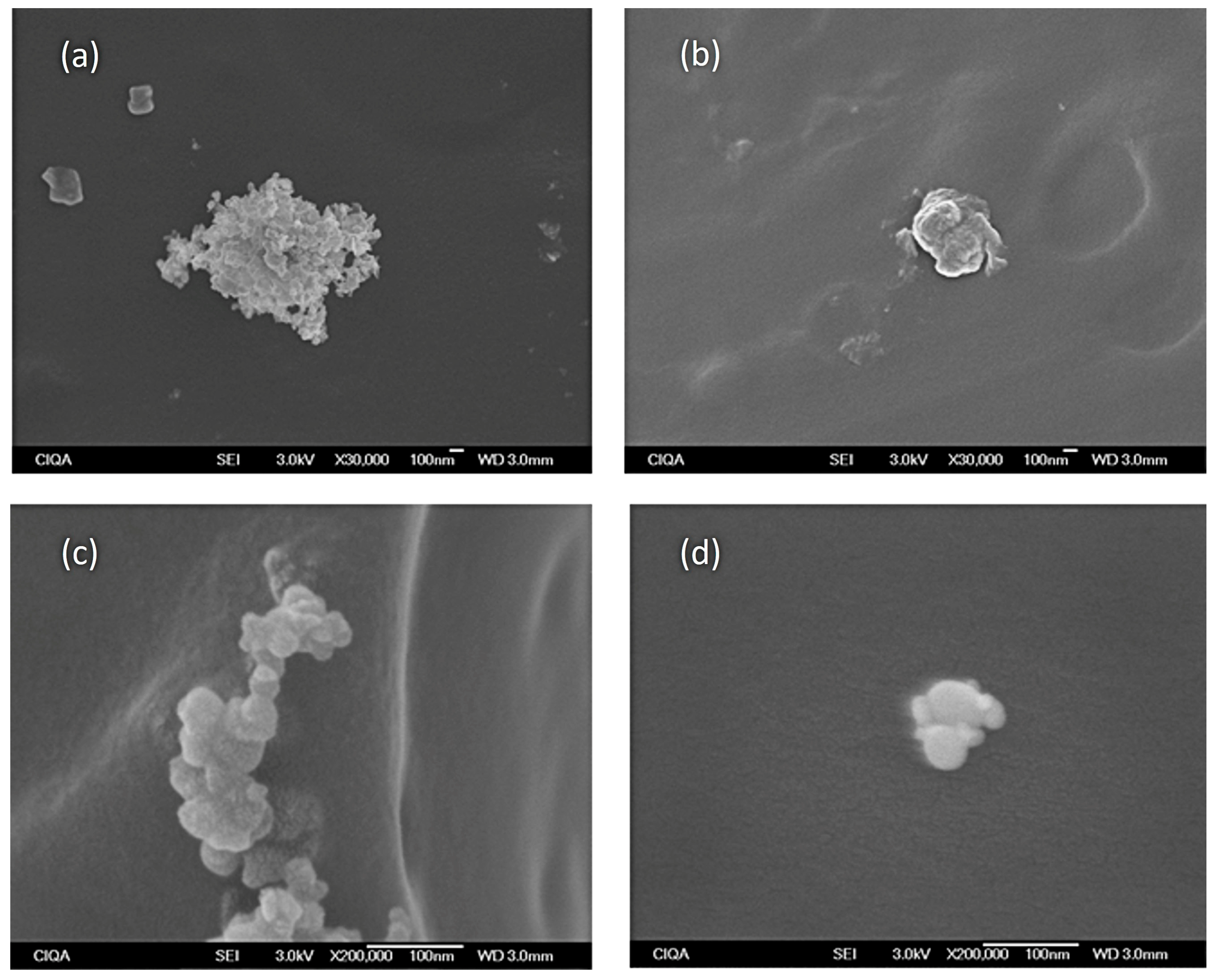 Applsci 13 12028 g010