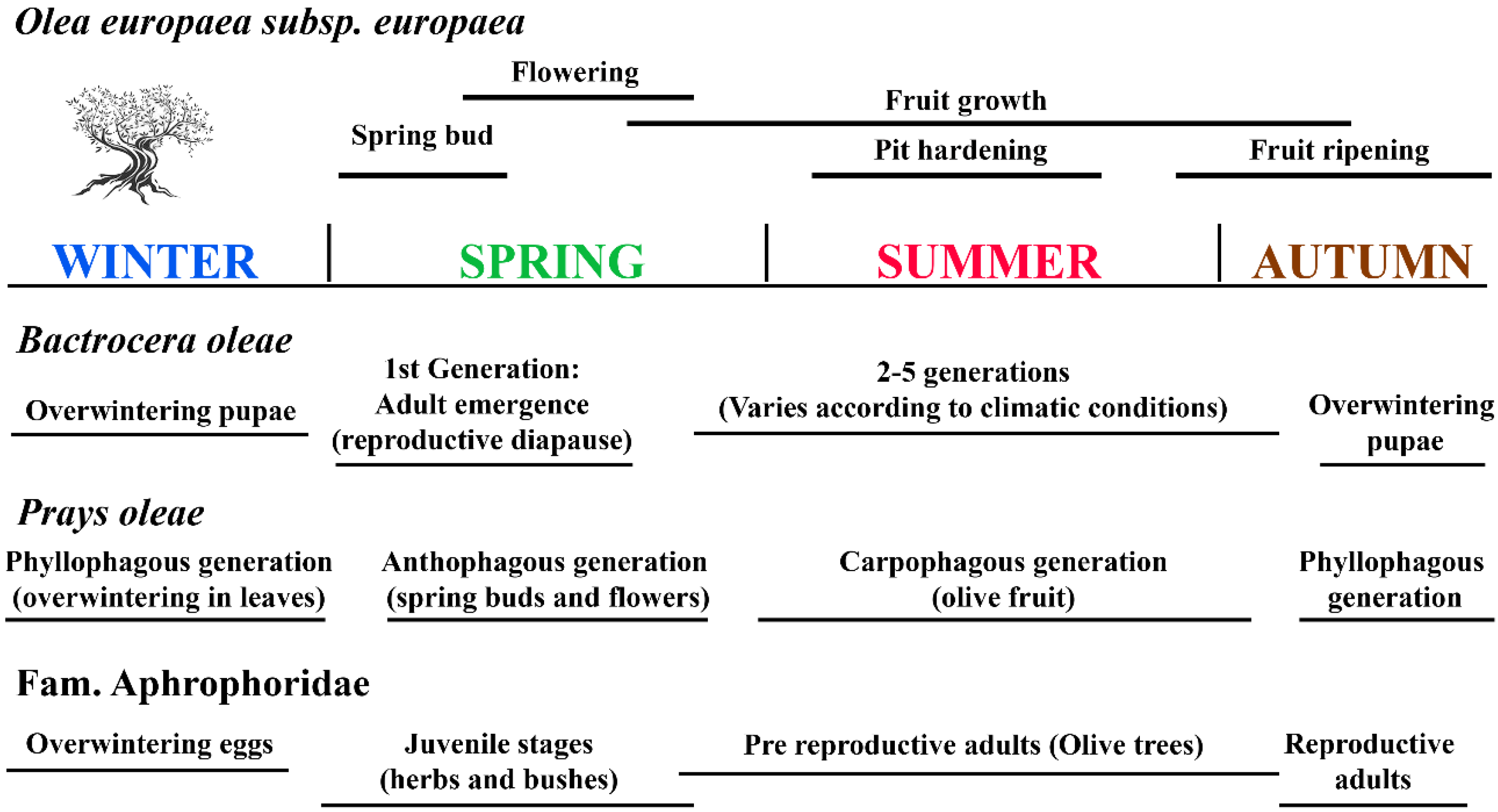 Applsci 13 12078 g002 Applsci 13 12078 g002